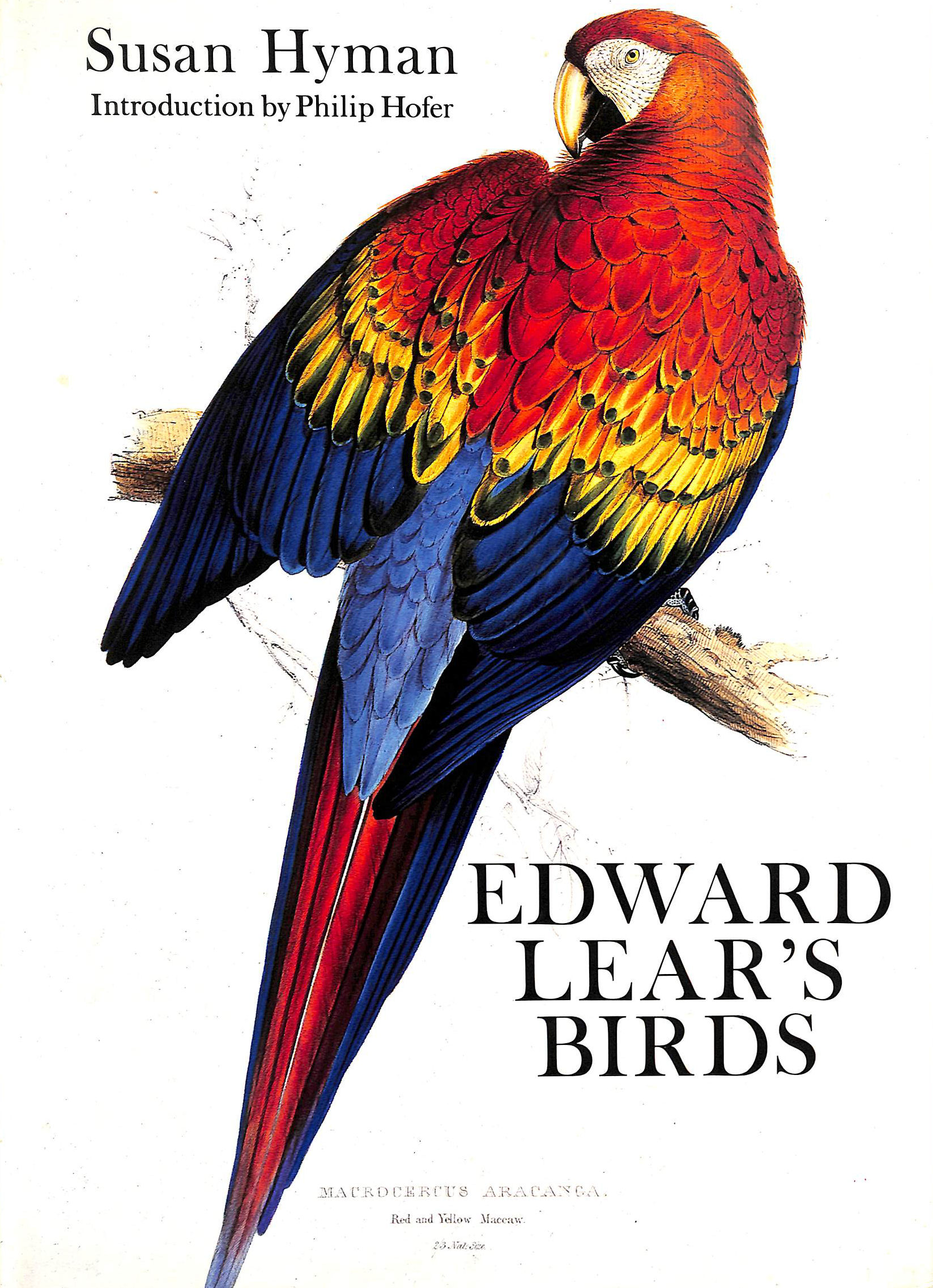 Edward Lear's Birds