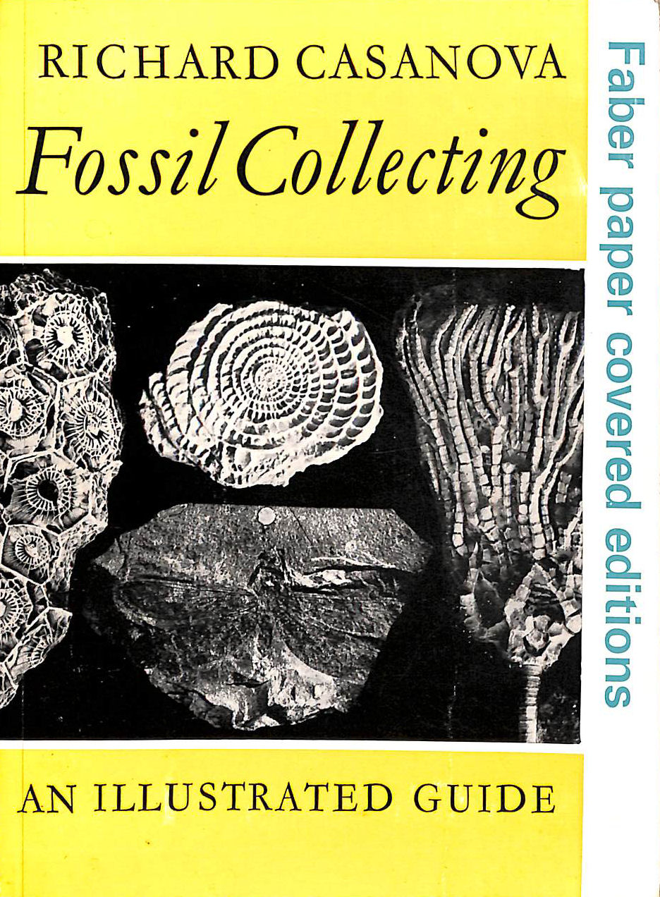 Fossil Collecting