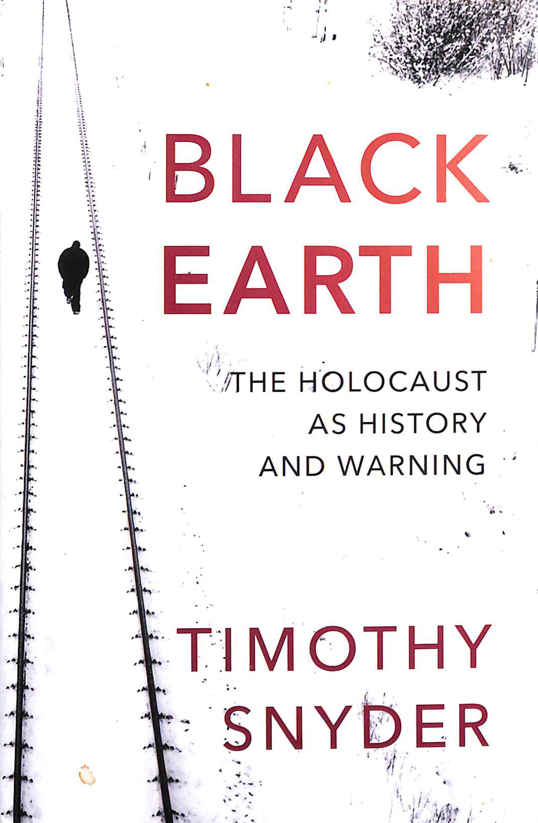 Black Earth: The Holocaust as History and Warning