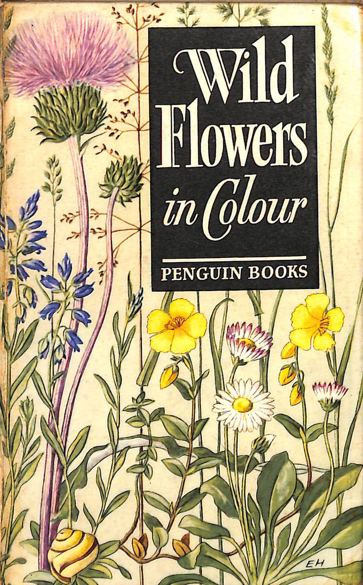 Wild flowers in Colour