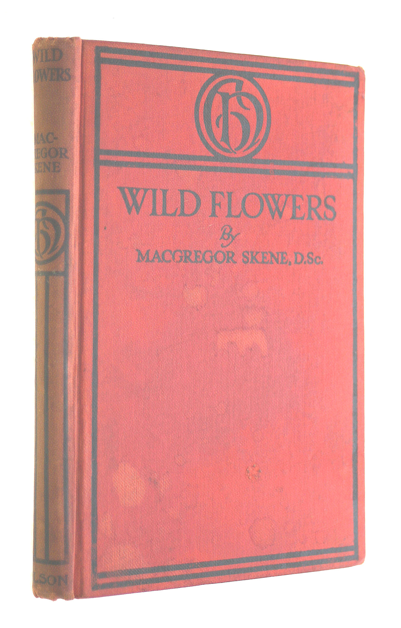 Wild Flowers