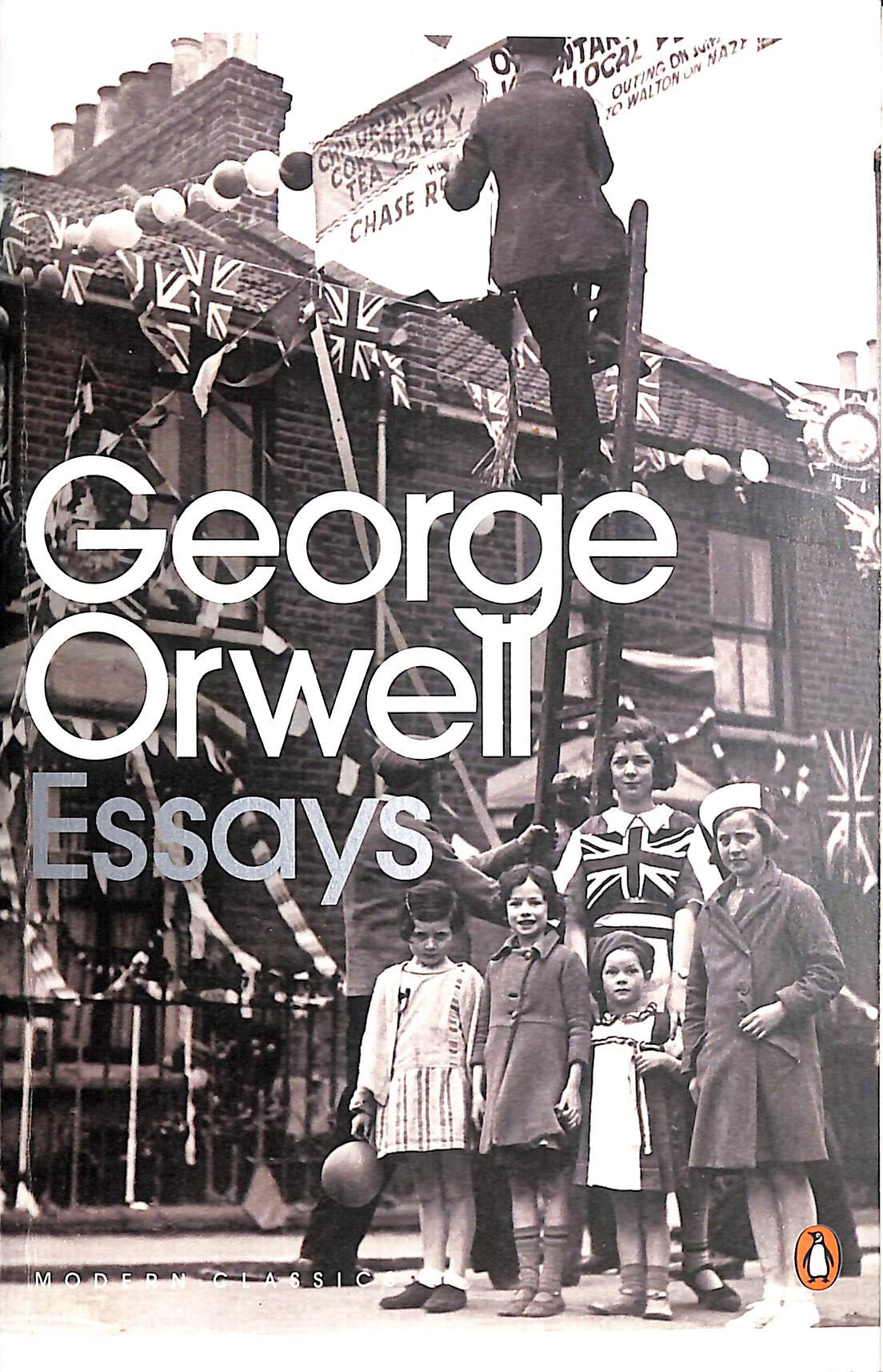 Essays (Penguin Modern Classics)