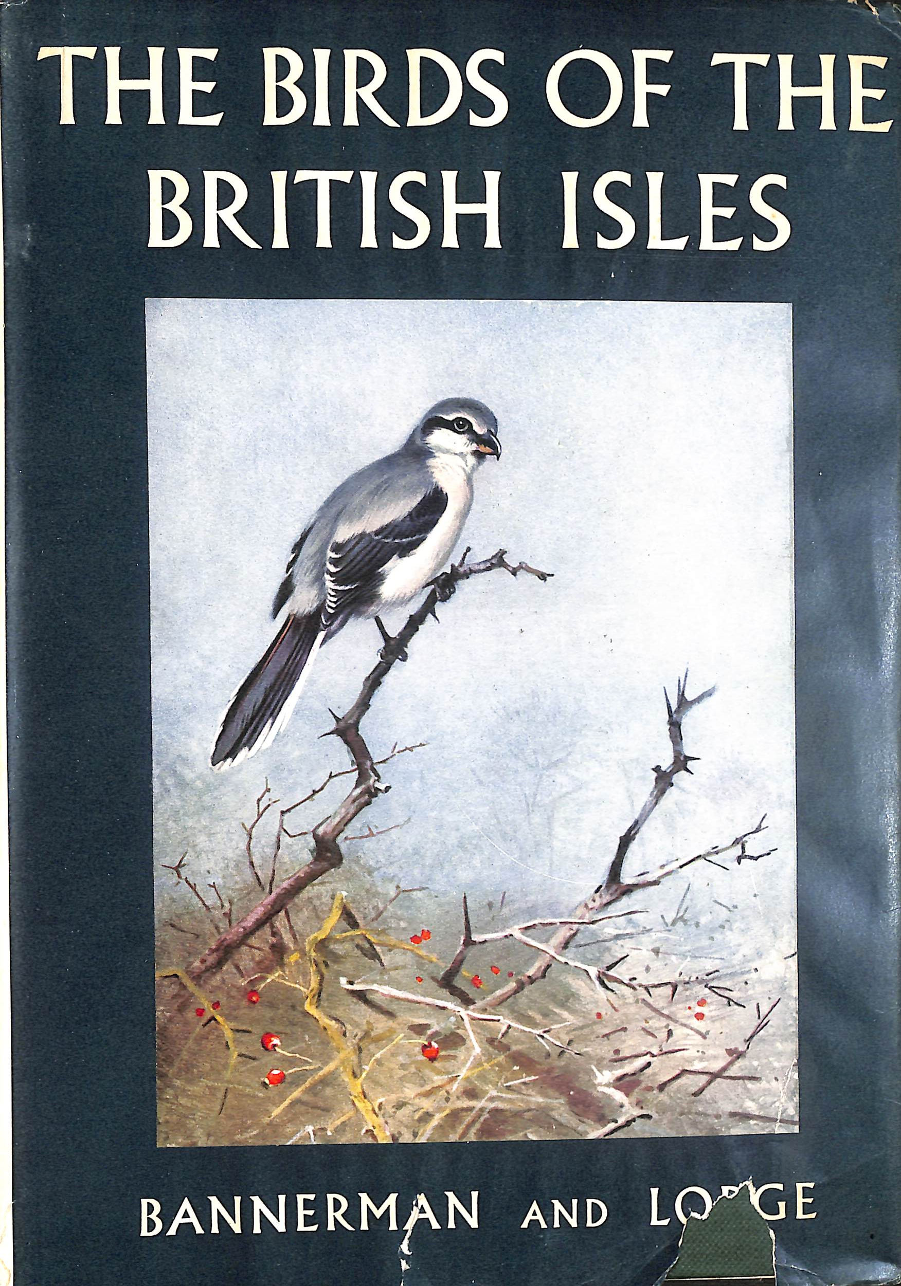 The Birds Of The British Isles, Volume 2