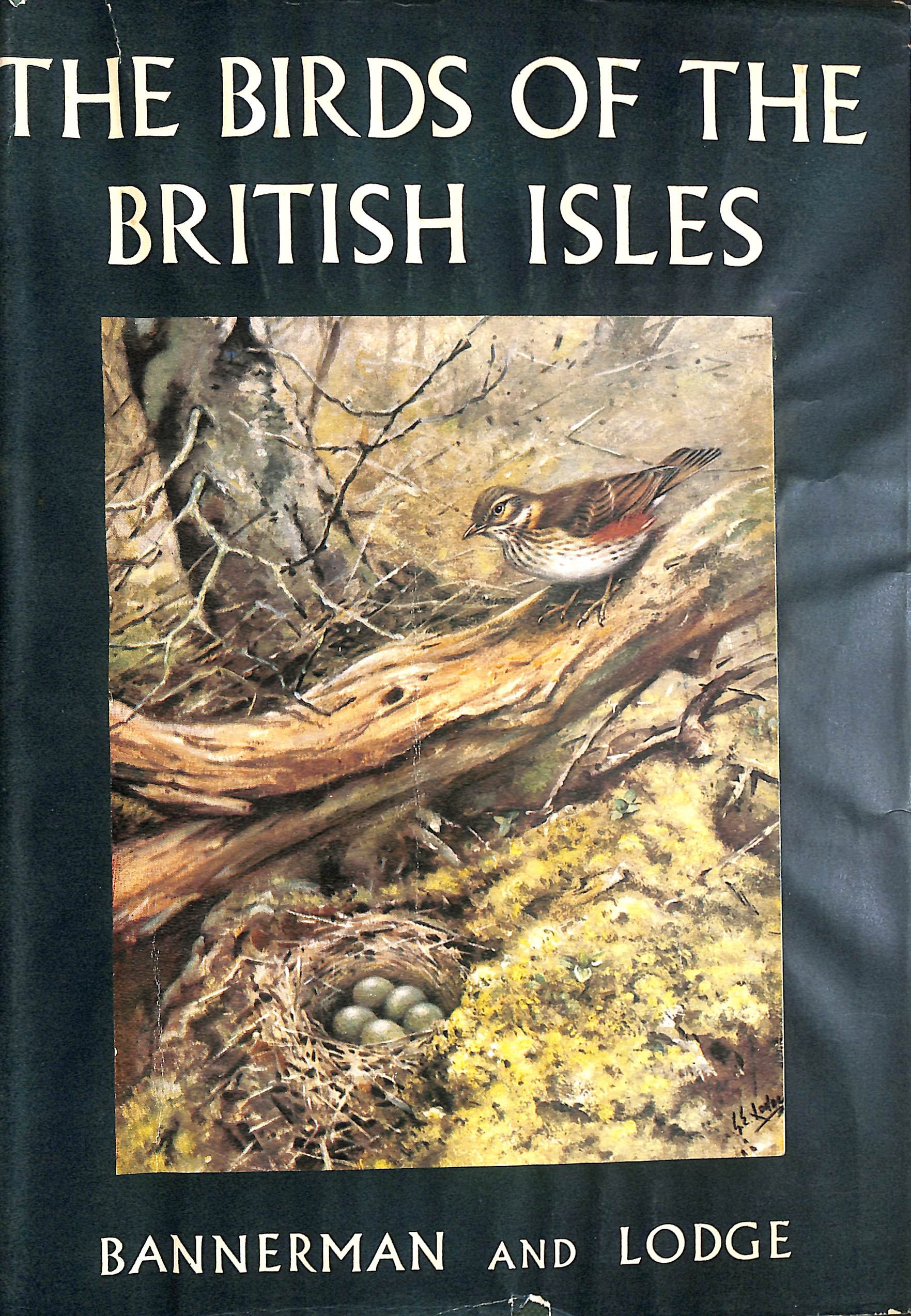 The Birds of the British Isles, Volume III (3)