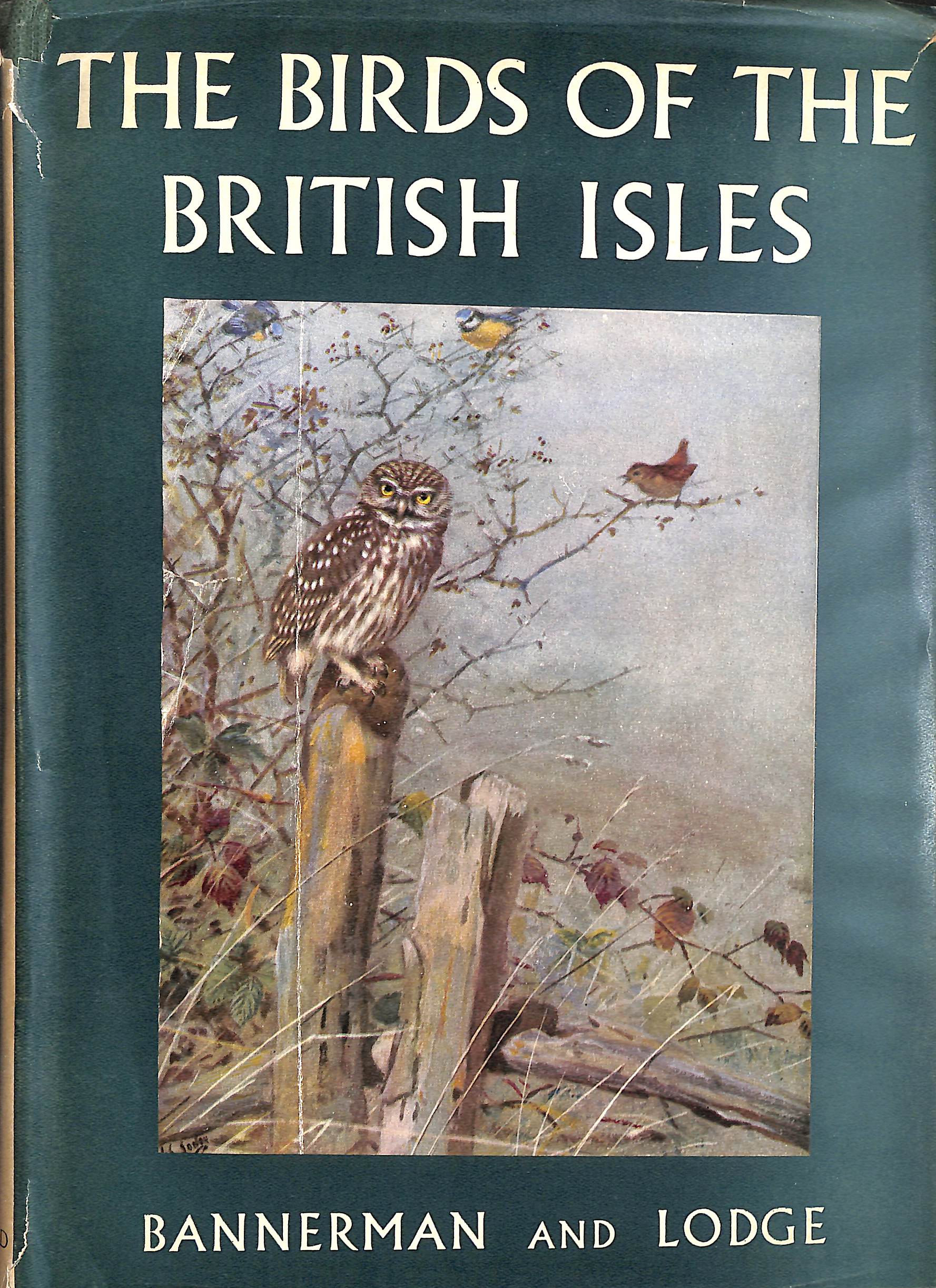 The Birds Of The British Isles, Volume 4 (IV)