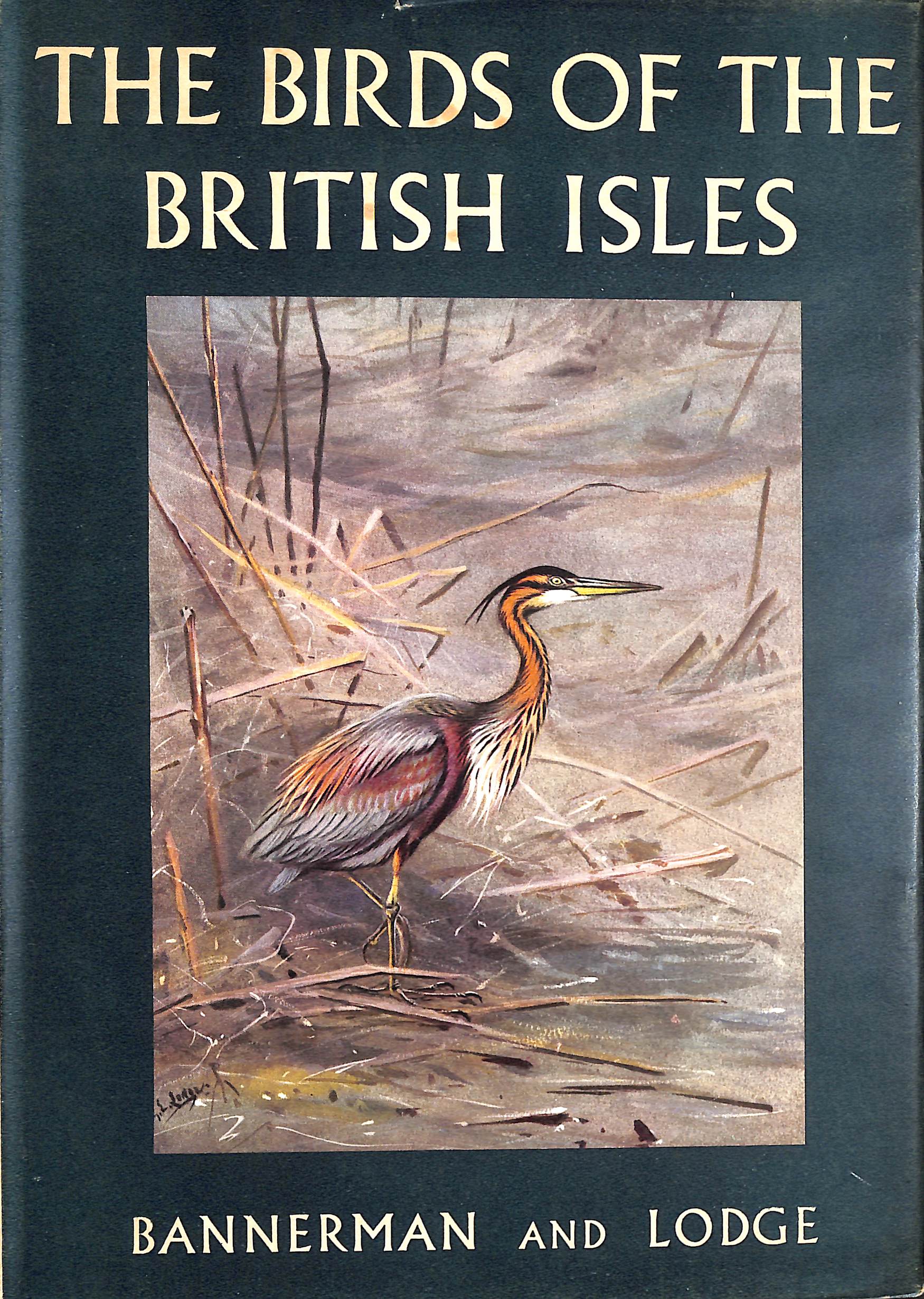 Birds of the British Isles, Volume Six (VI)