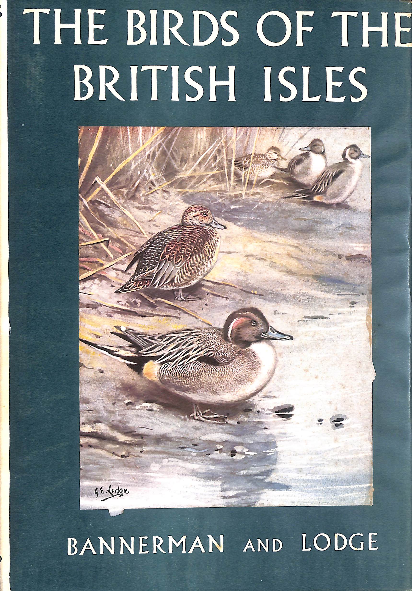 The Birds of the British Isles, Volume 7 (VII)
