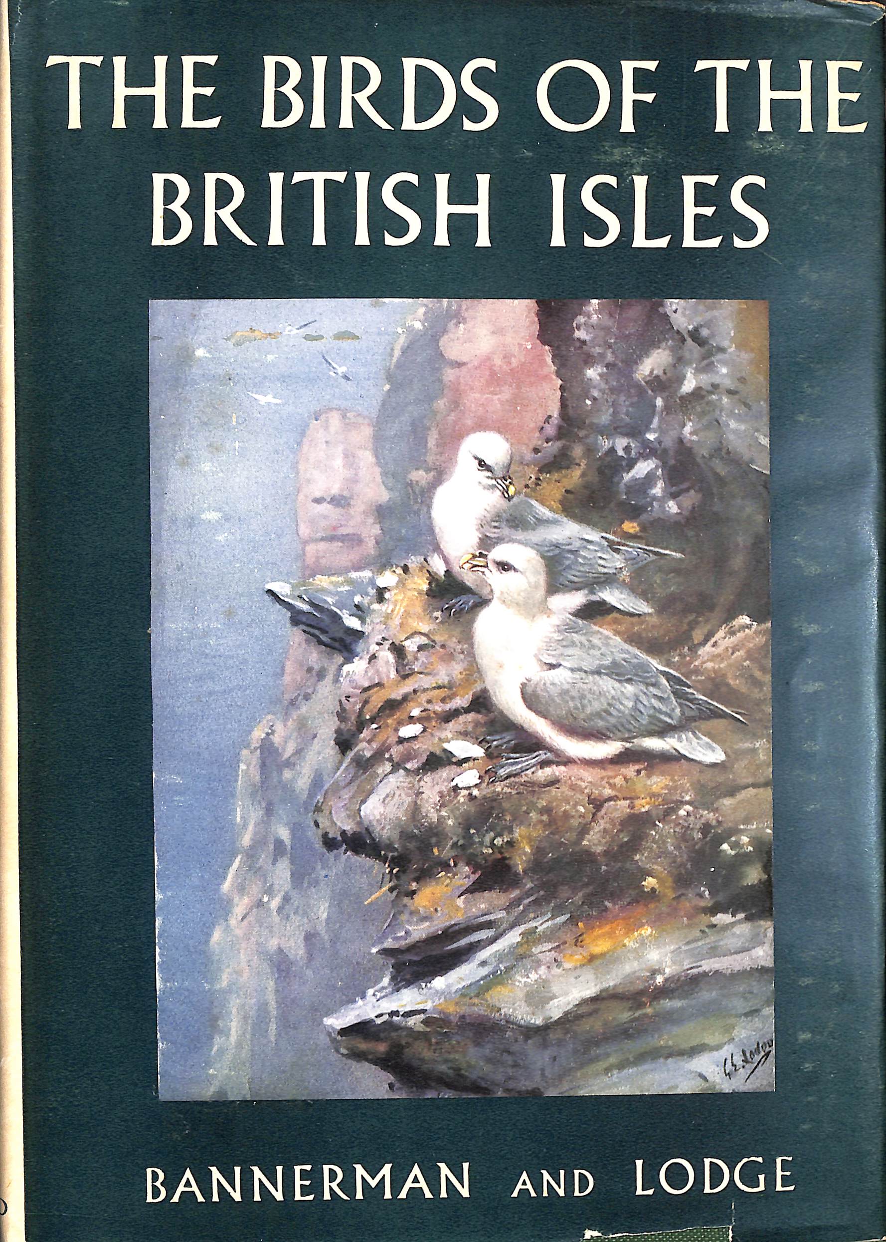 The Birds of the British Isles, Volume 8 (VIII)