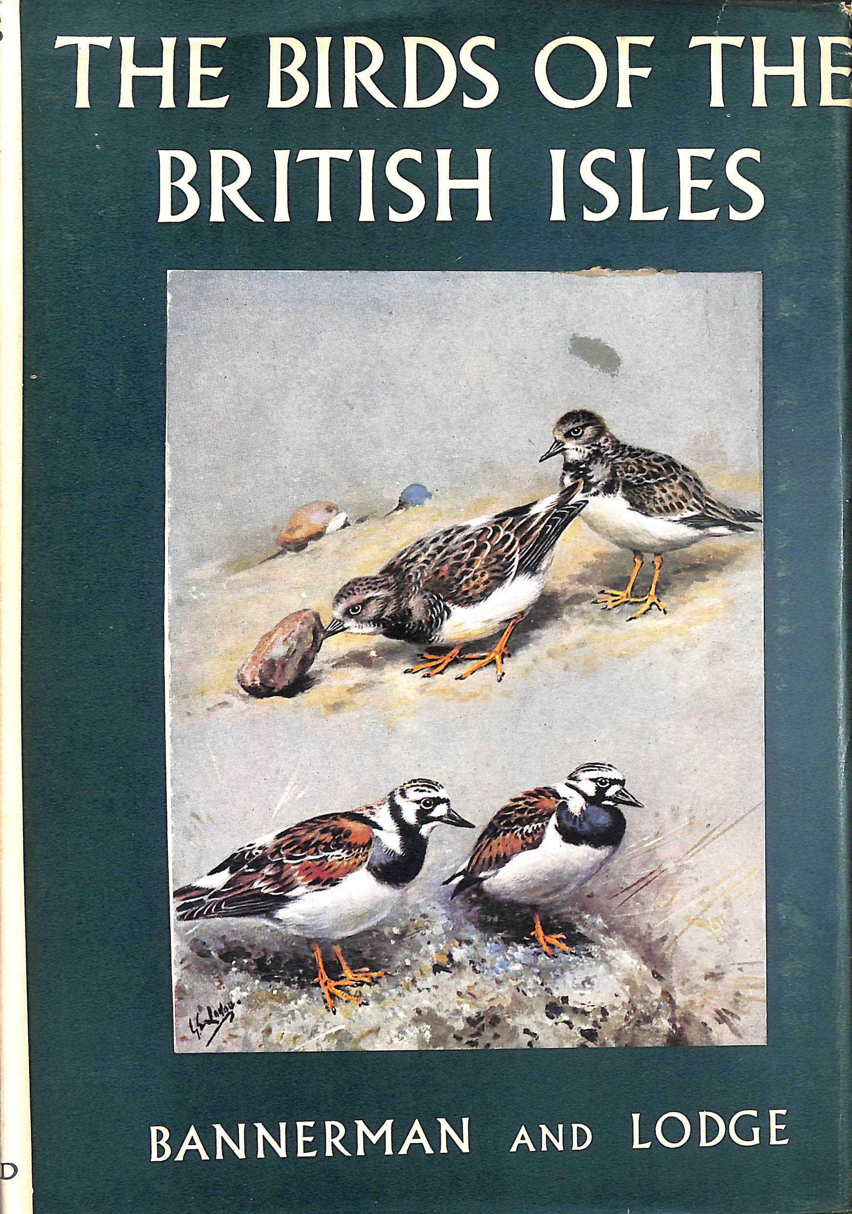 The Birds of the British Isles, Volume 9 (IX)