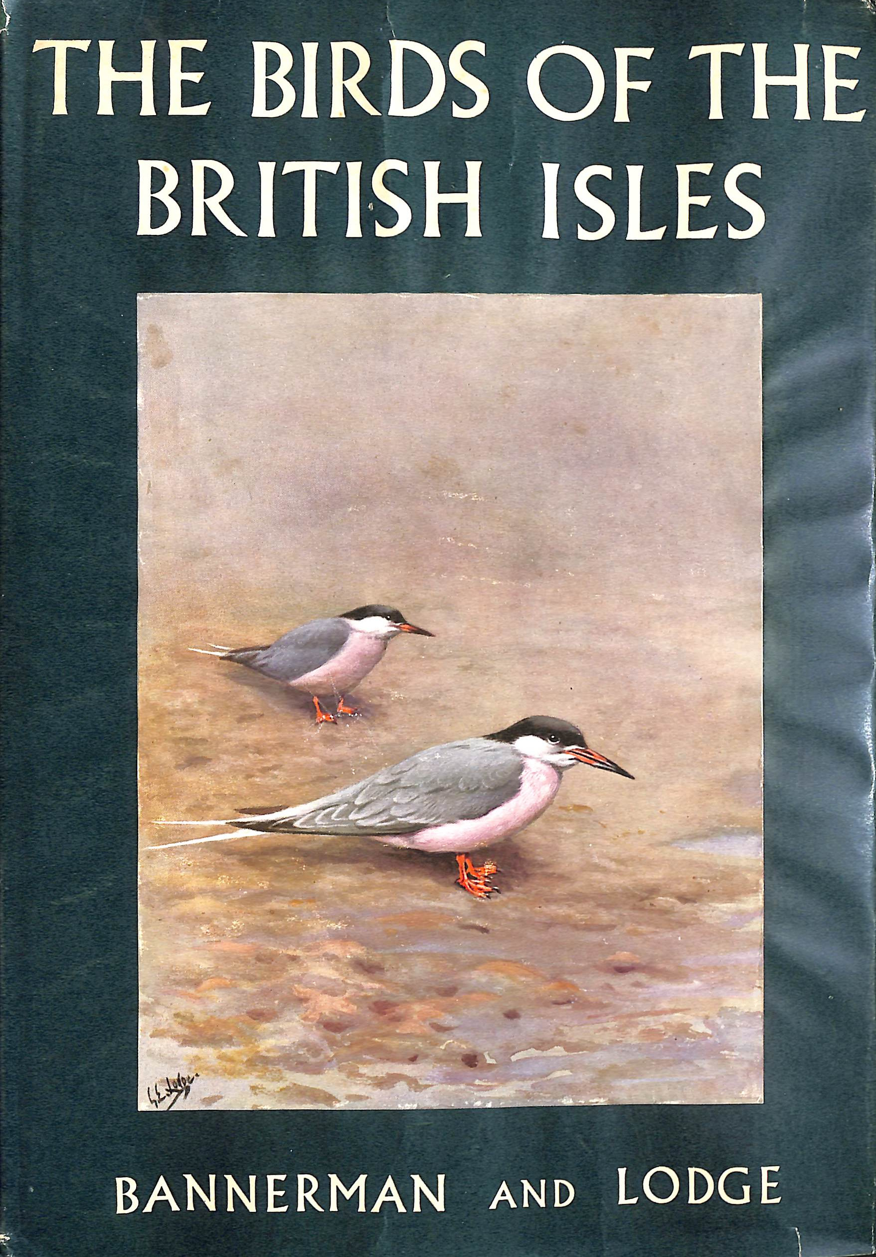 The Birds of the British Isles, Volume 11 (XI)