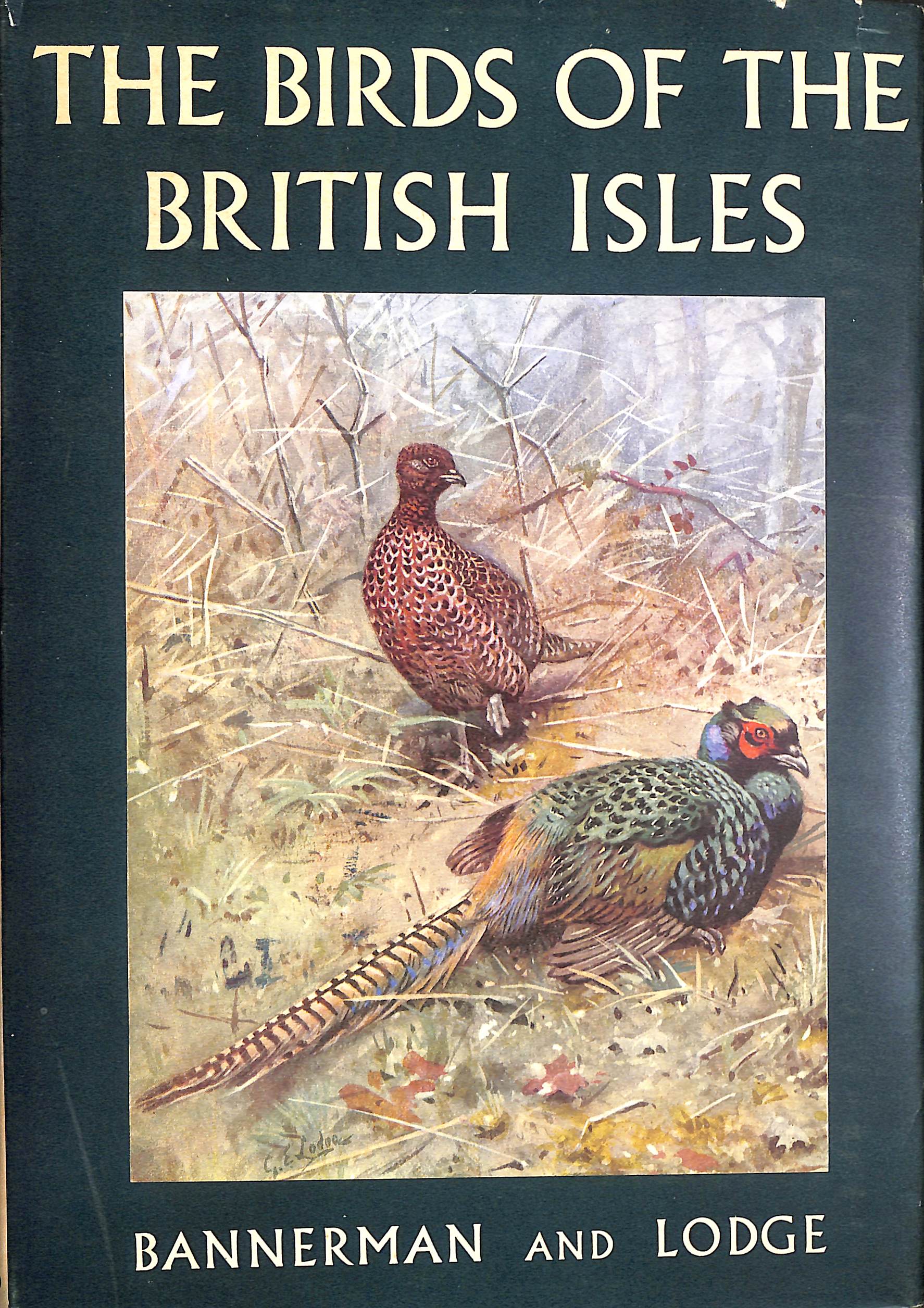 The Birds of the British Isles, Volume 12 (XII)