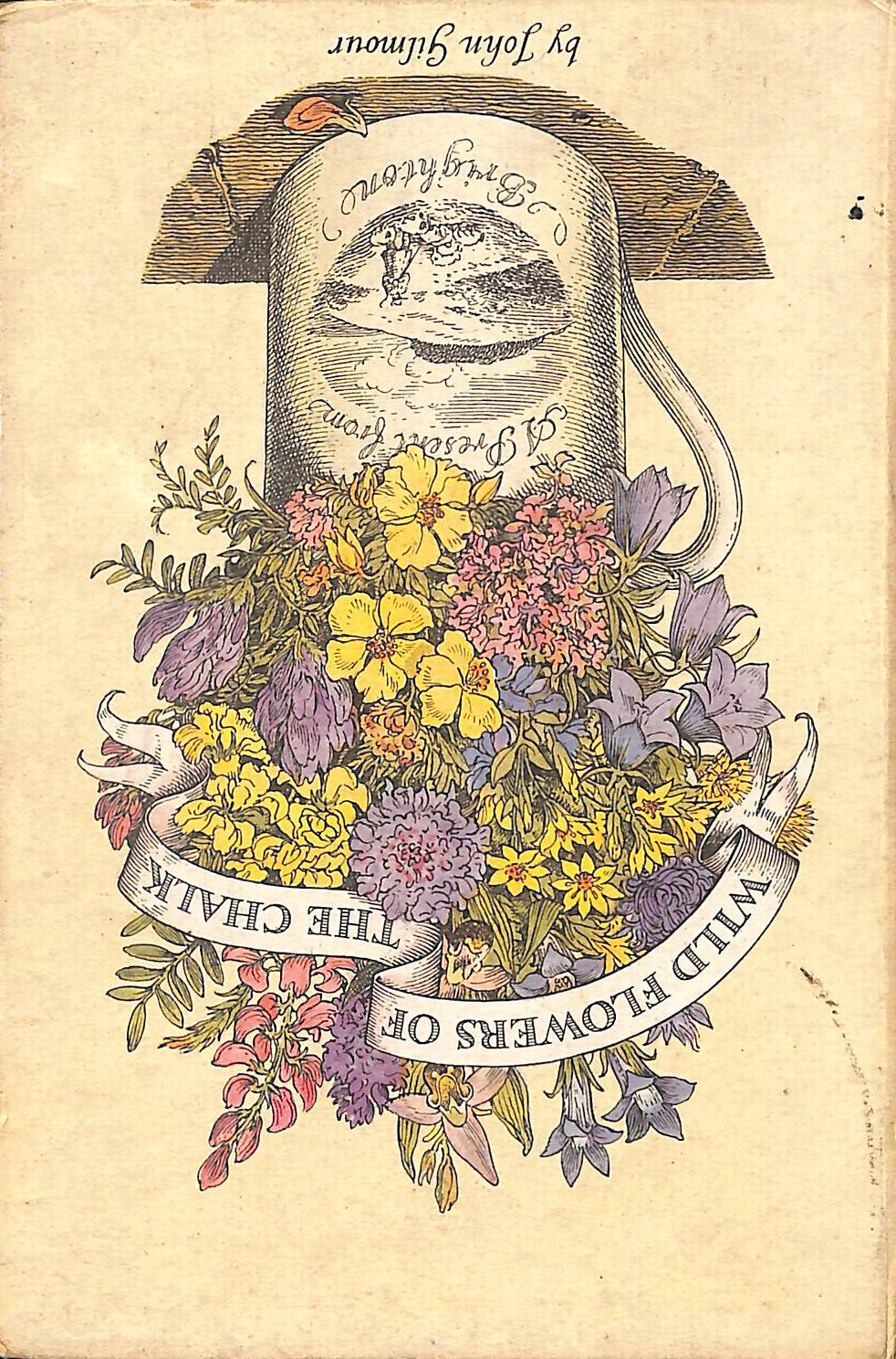 Wild Flowers of the Chalk