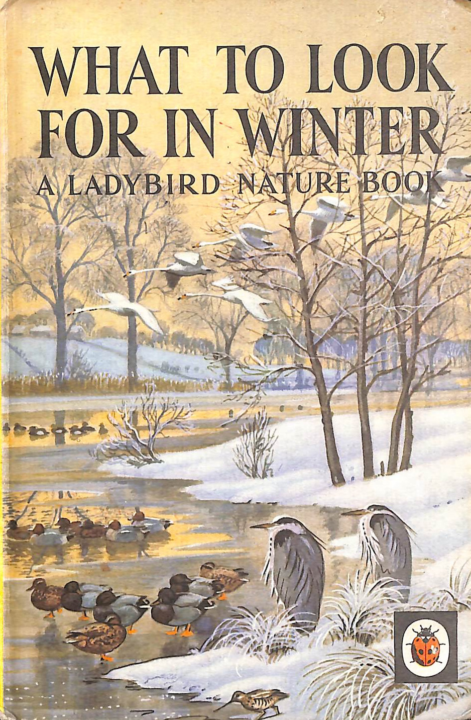 What to Look for in Winter (Ladybird books)