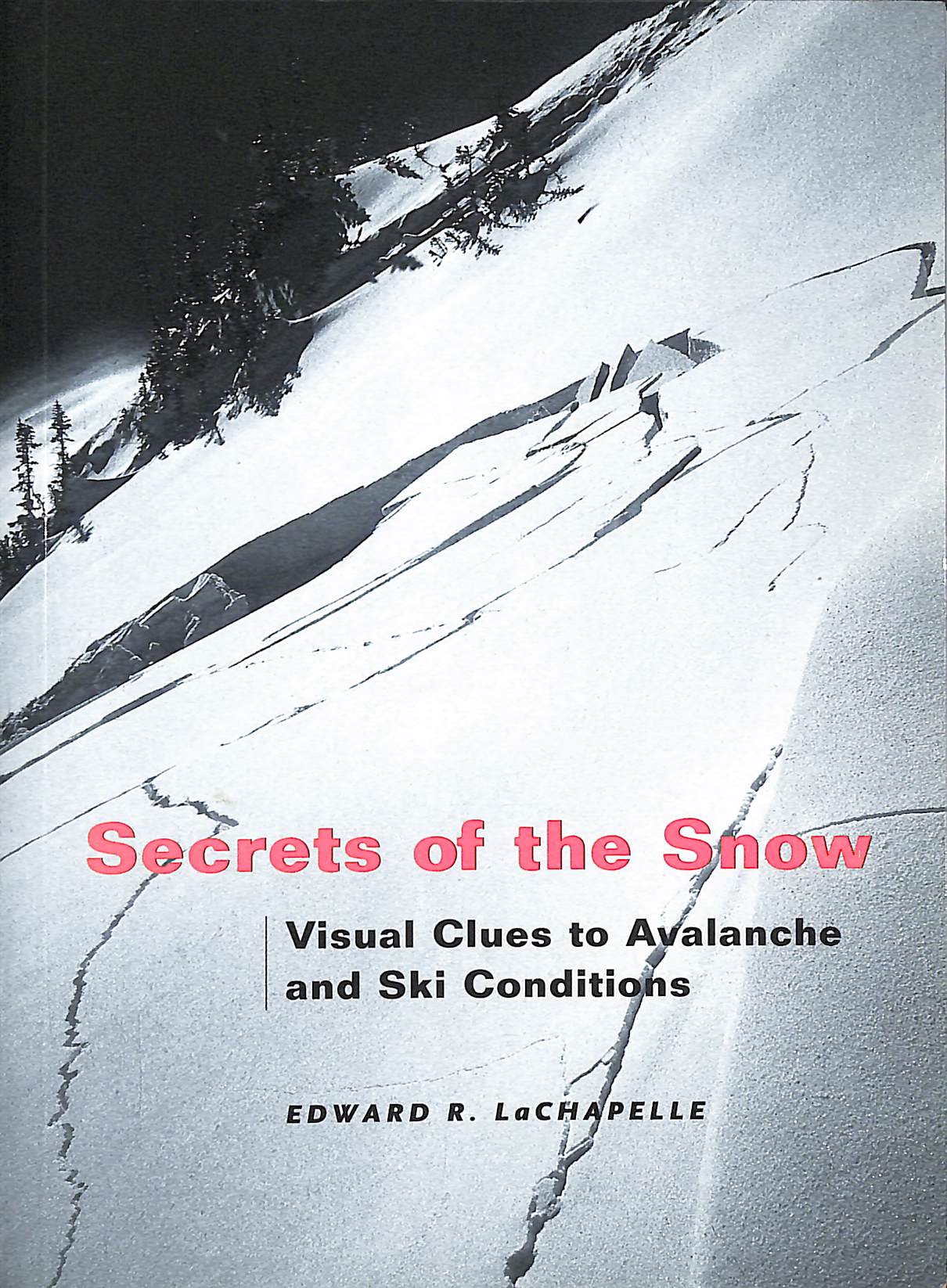 Secrets of the Snow: Visual Clues to Avalanche and Ski Conditions