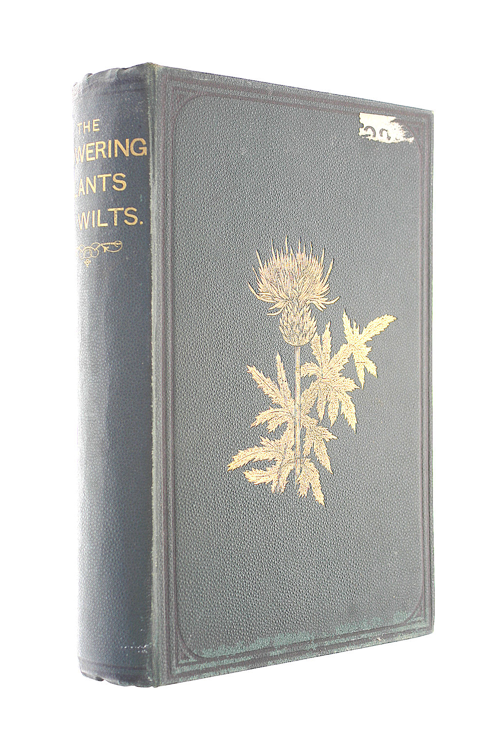 The Flowering Plants Of Wilts