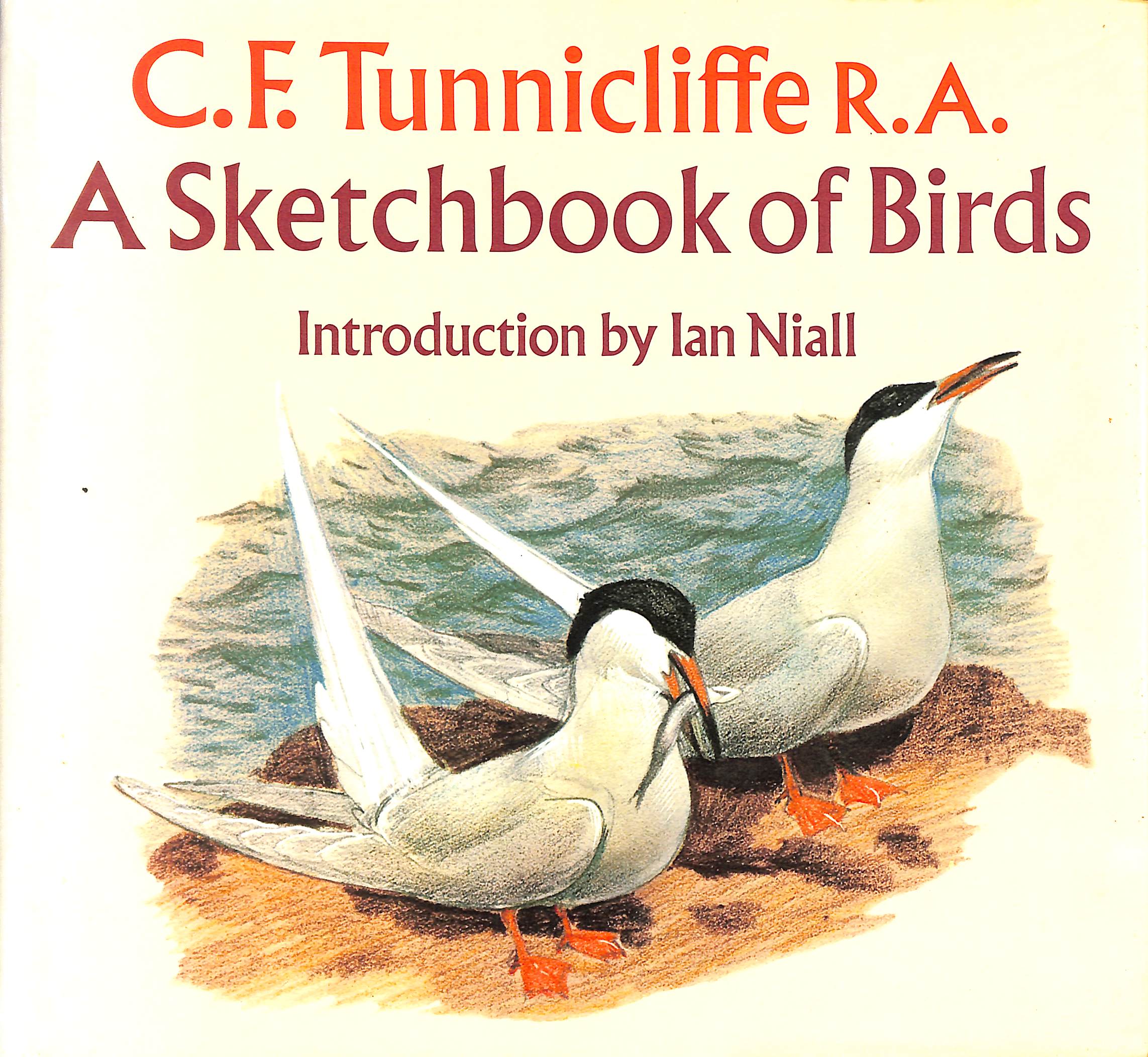 A Sketchbook of Birds