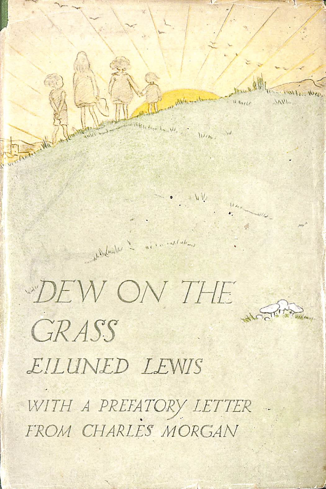 Dew on the Grass