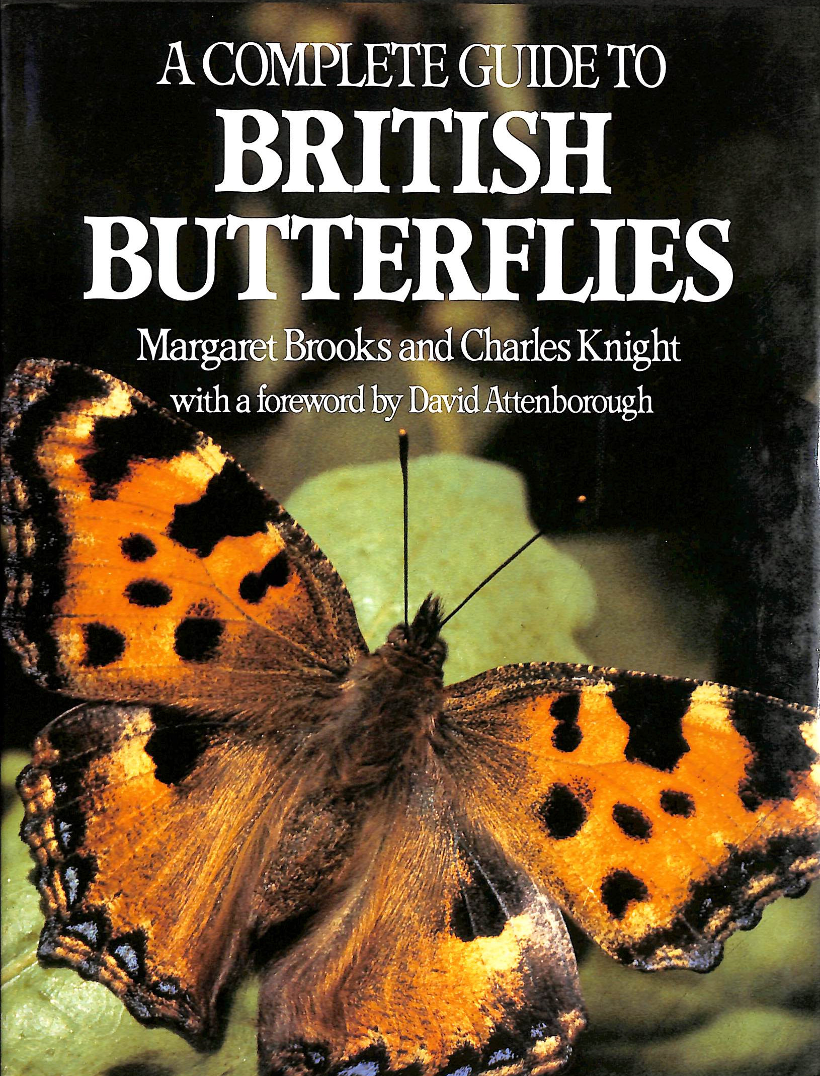 A Complete Guide to British Butterflies
