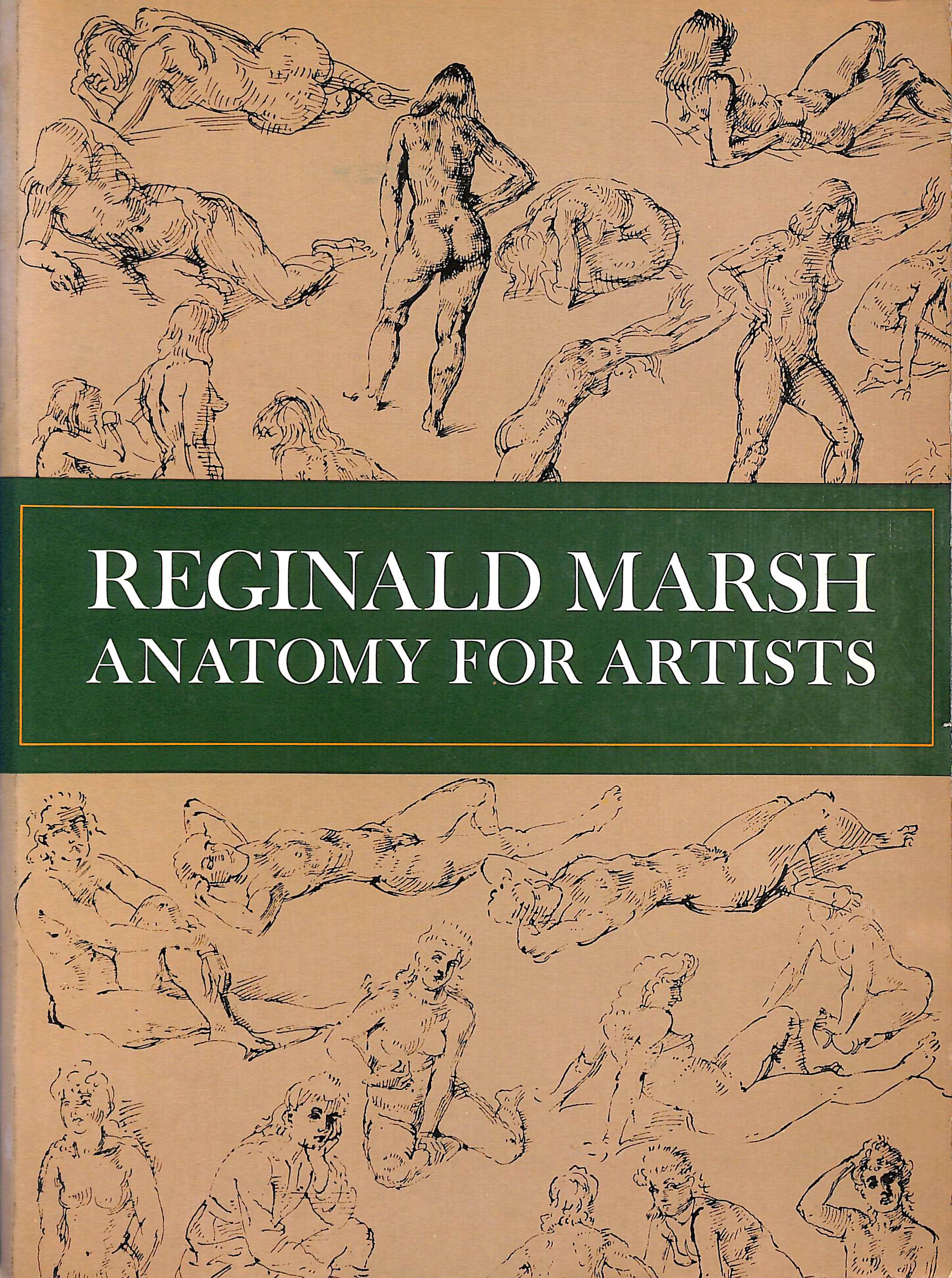 Anatomy for Artists