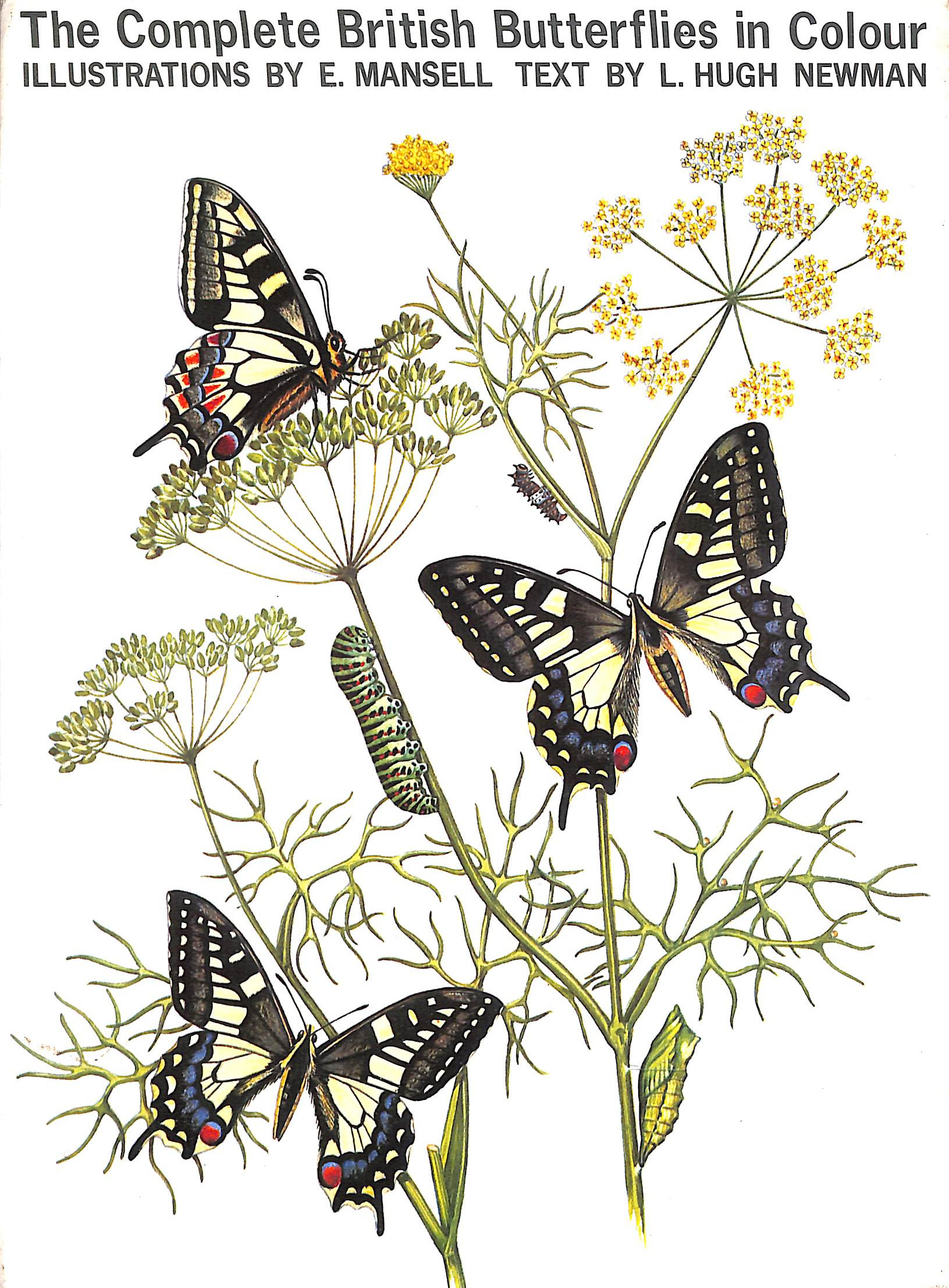 The Complete British Butterflies in Colour