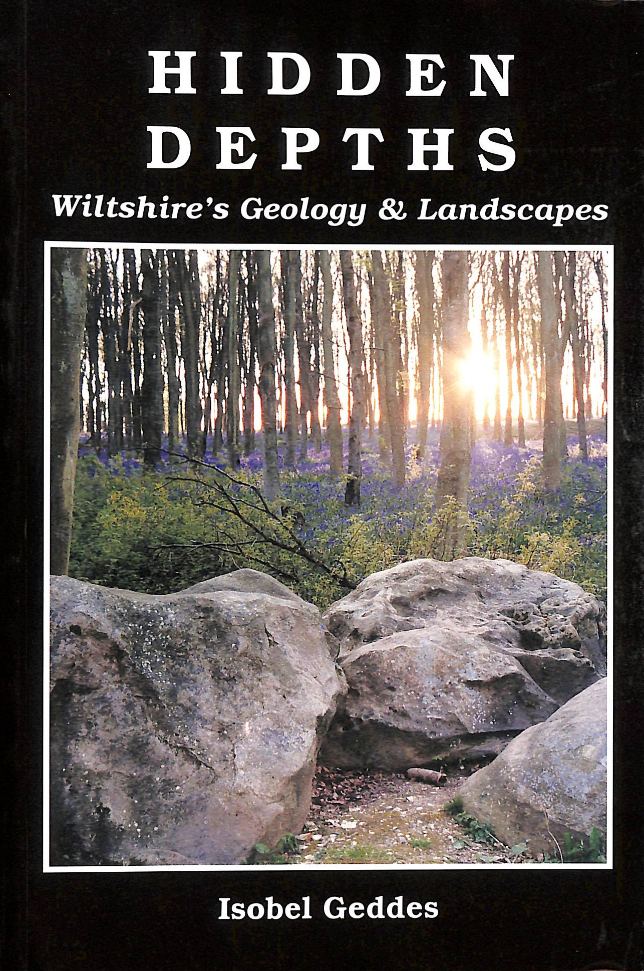 Hidden Depths: Wiltshire's Geology and Landscapes