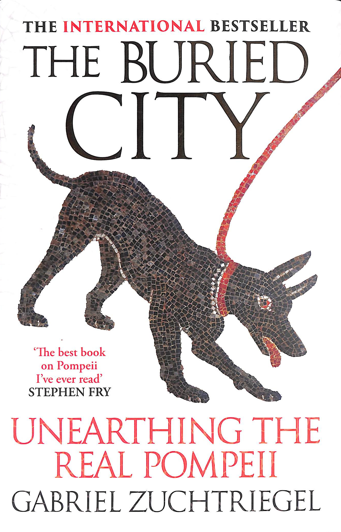 The Buried City: Unearthing the Real Pompeii