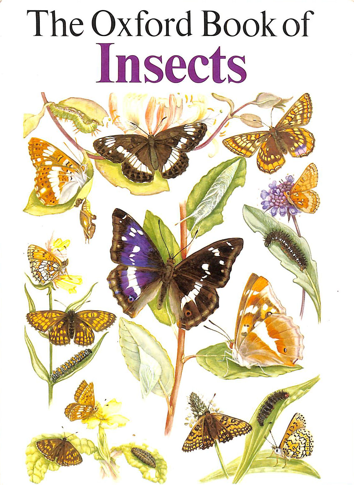 Oxford Book of Insects