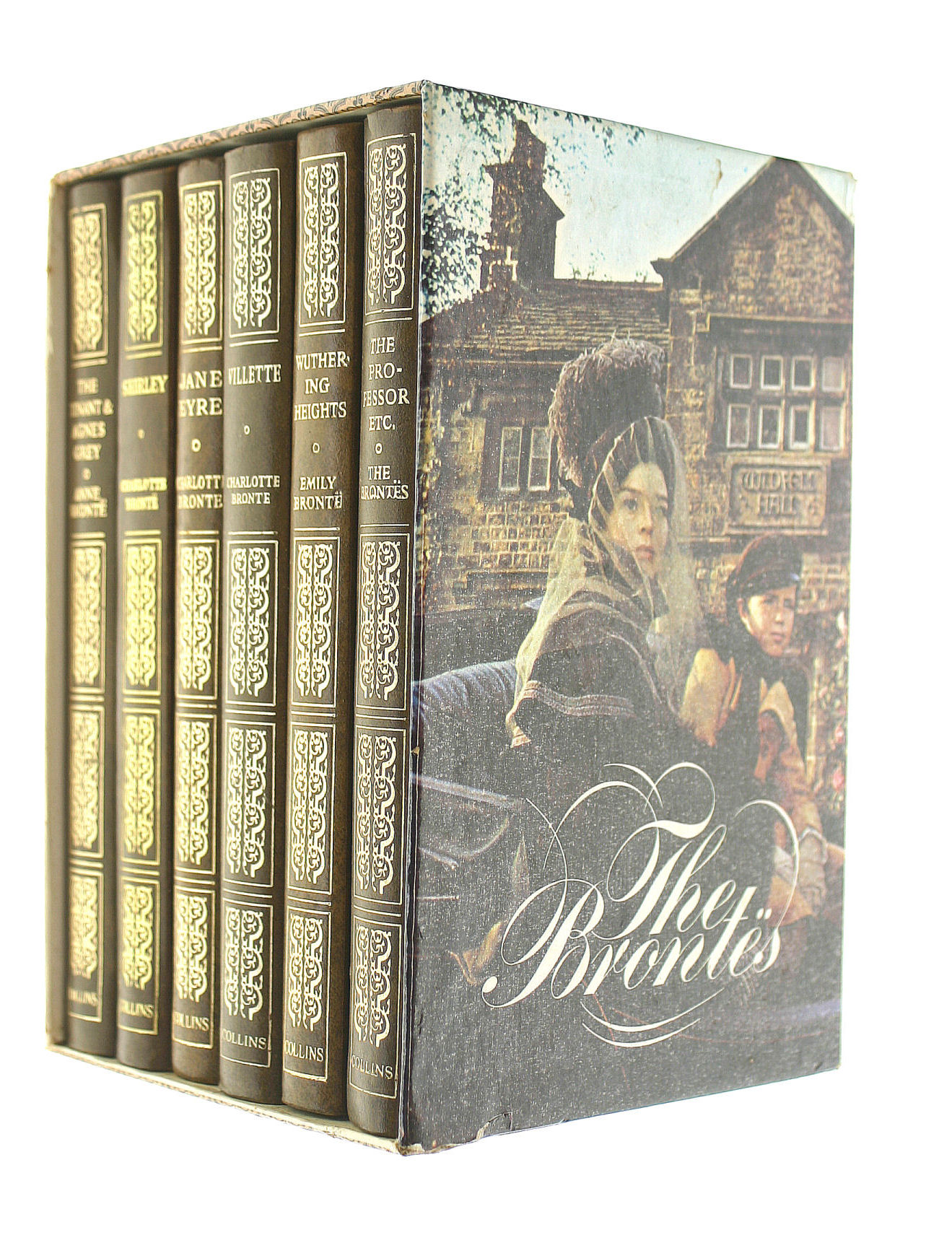 Villette, Jane Eyre, Tenant of Wildfell Hall, Wuthering Heights, Professor