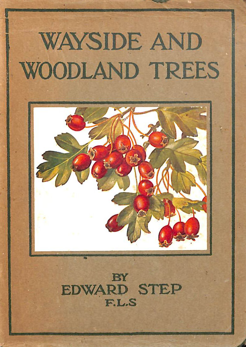 Image for Wayside And Woodland Trees: A Guide To The British Sylva Wayside And Woodland Trees: A Guide To The British Sylva