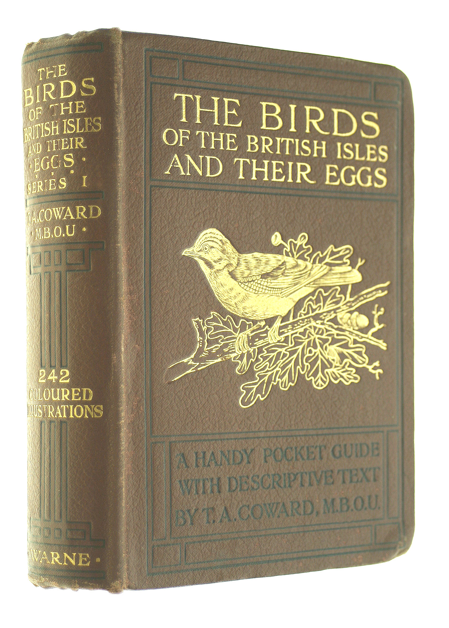 The Birds of the British Isles and Their Eggs, First Series Families Corvid
