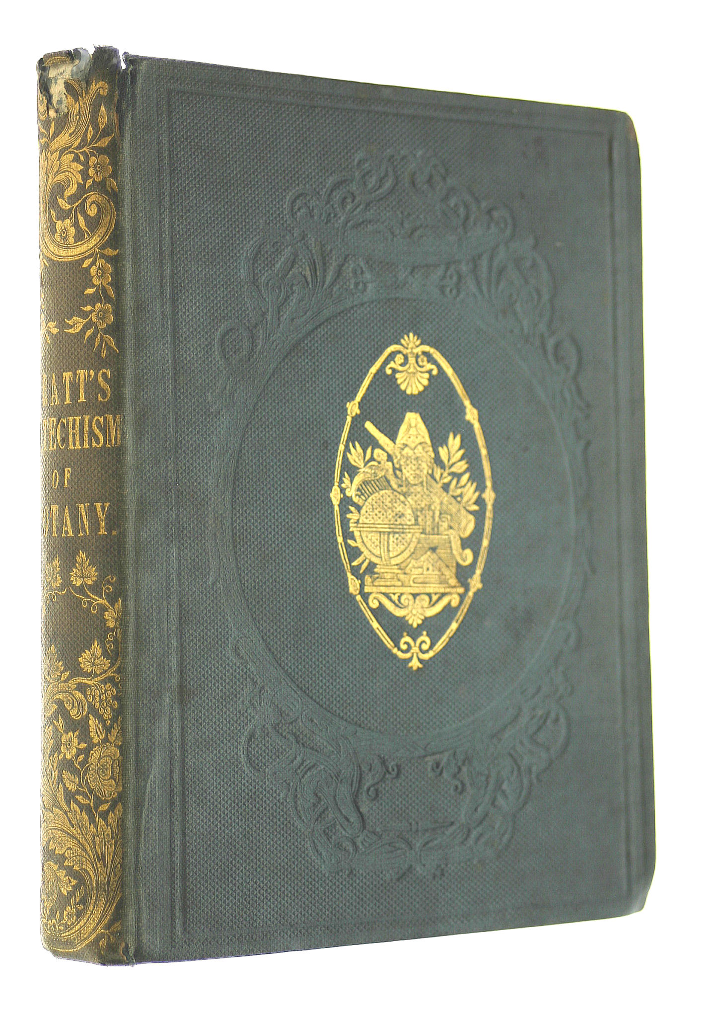 Image for The Pictorial Catechism of Botany The Pictorial Catechism of Botany