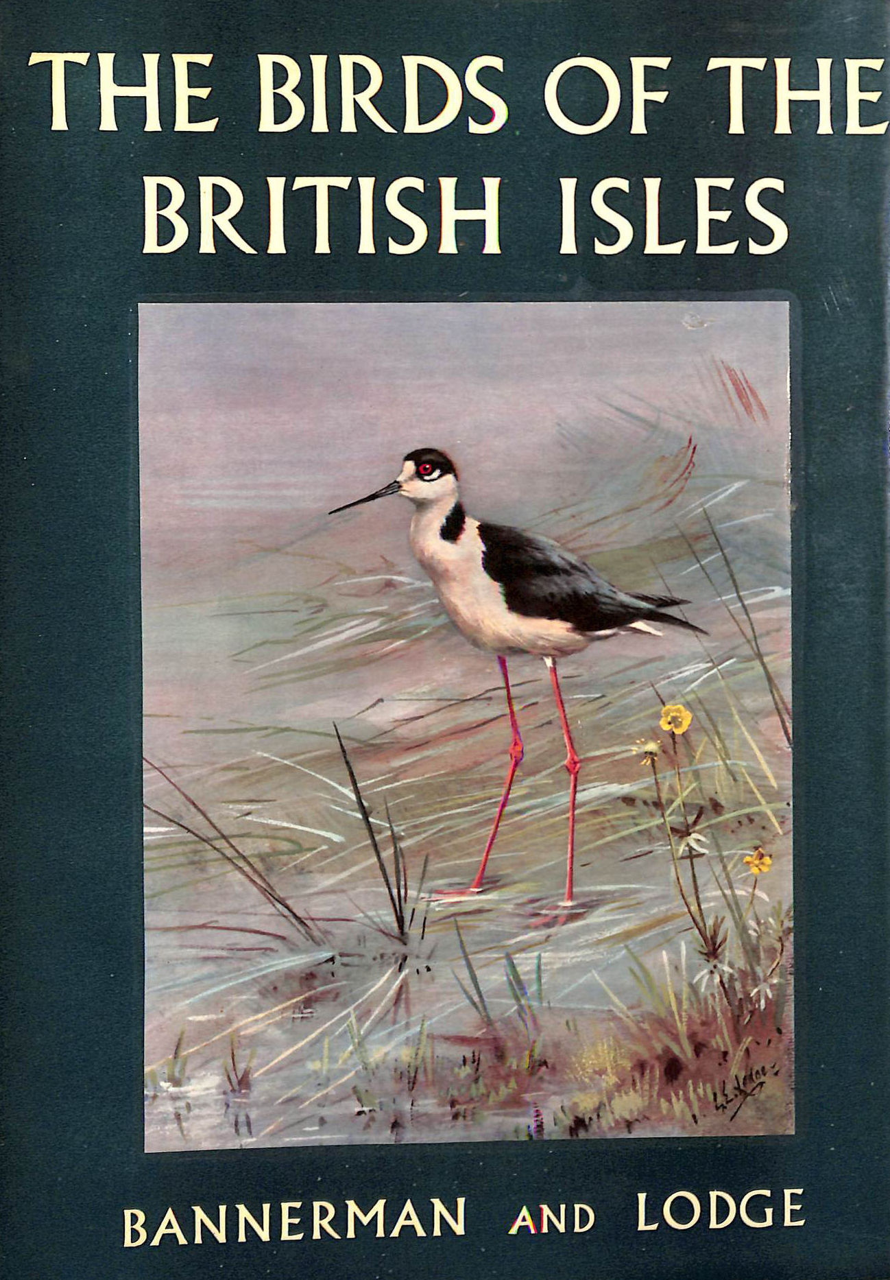 The Birds of the British Isles: Volume X (10) (First Edition)