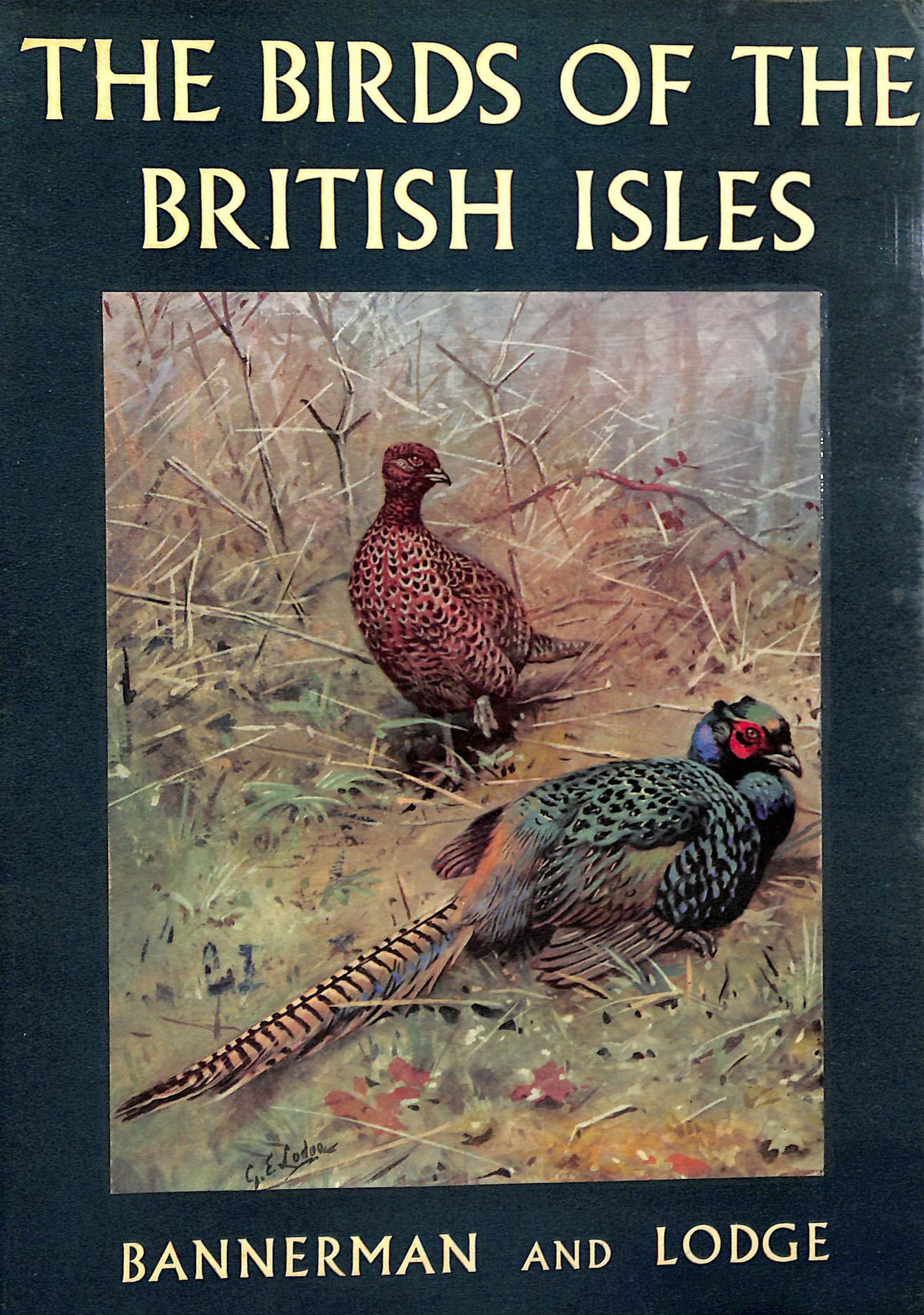 The Birds of the British Isles: Volume XII (12)
