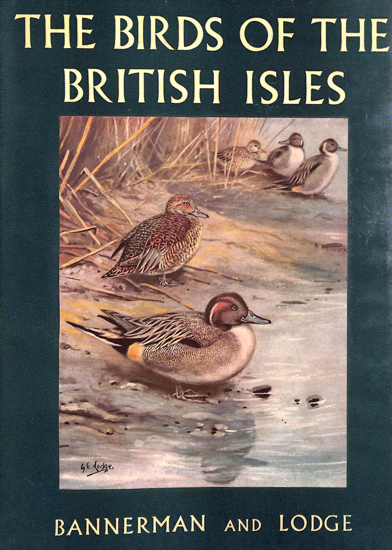 The Birds Of The British Isles. Volume 7 Only