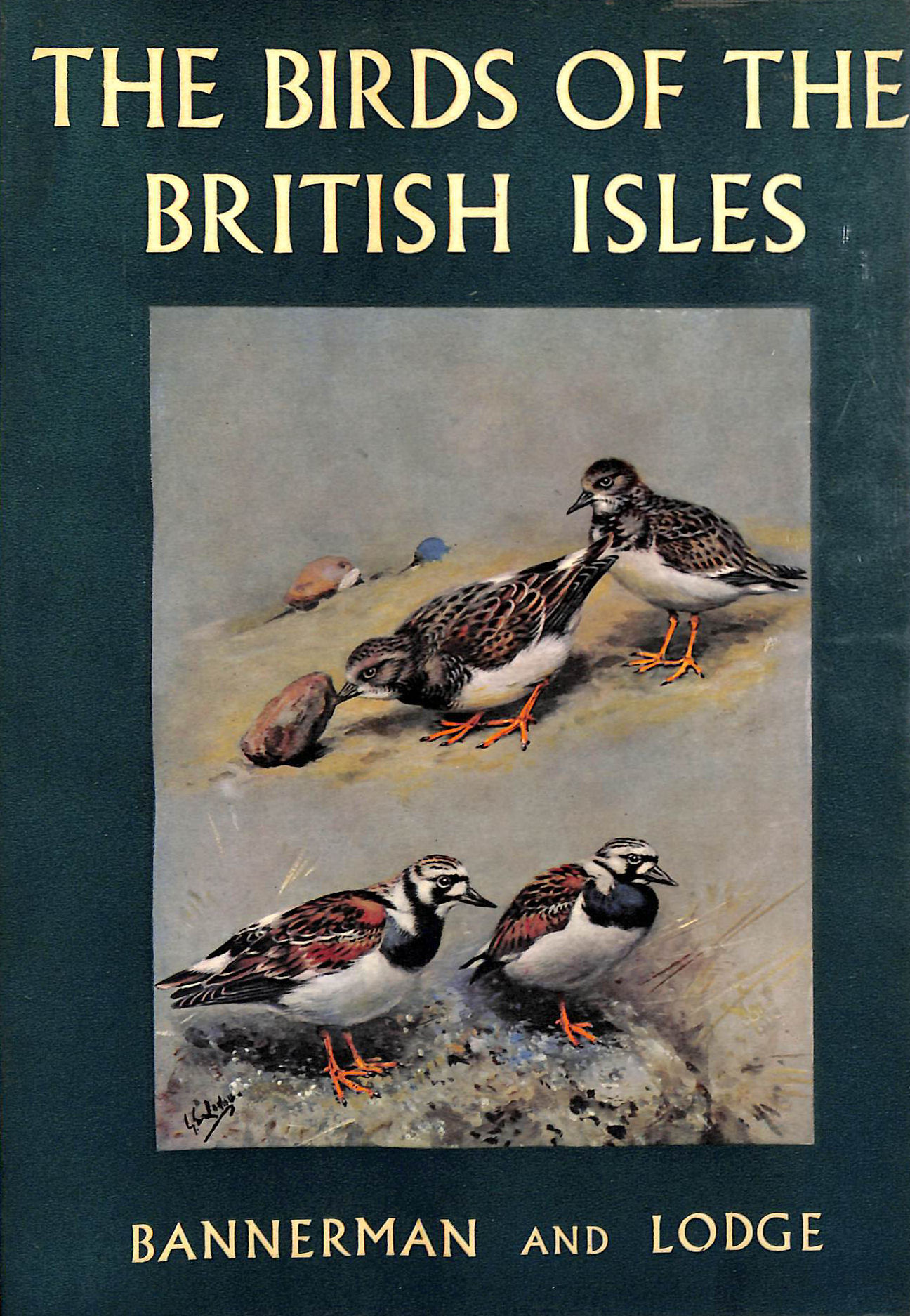 The Birds of the British Isles: Volume IX (9)