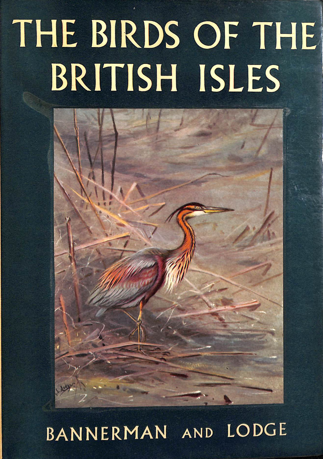 Birds of the British Isles Volume Six (vi 6) Ciconiidae; Phoenicopteridae.