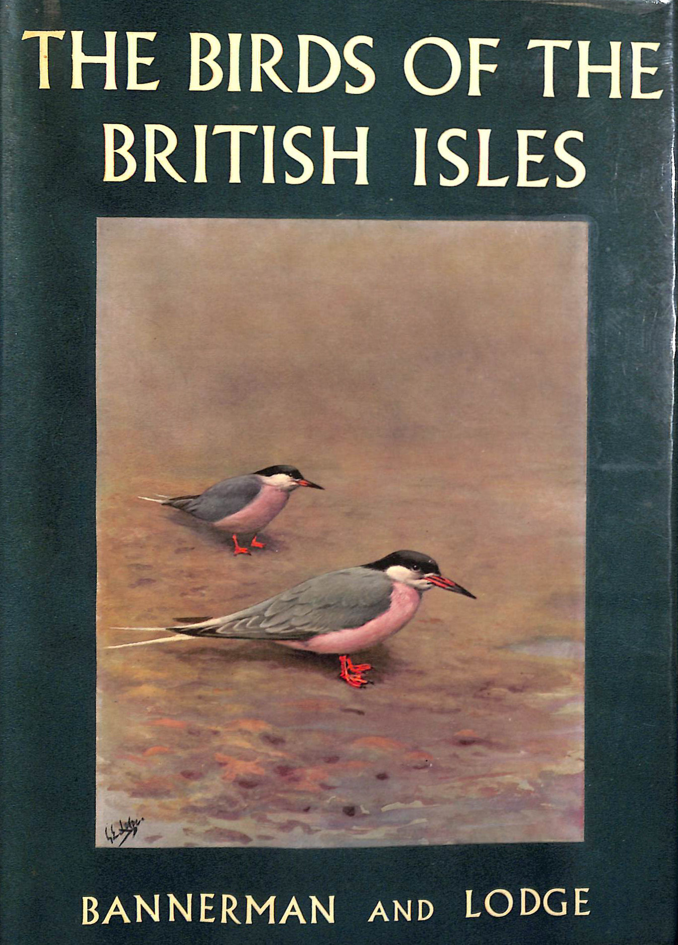 The Birds of the British Isles: Volume XI (11)