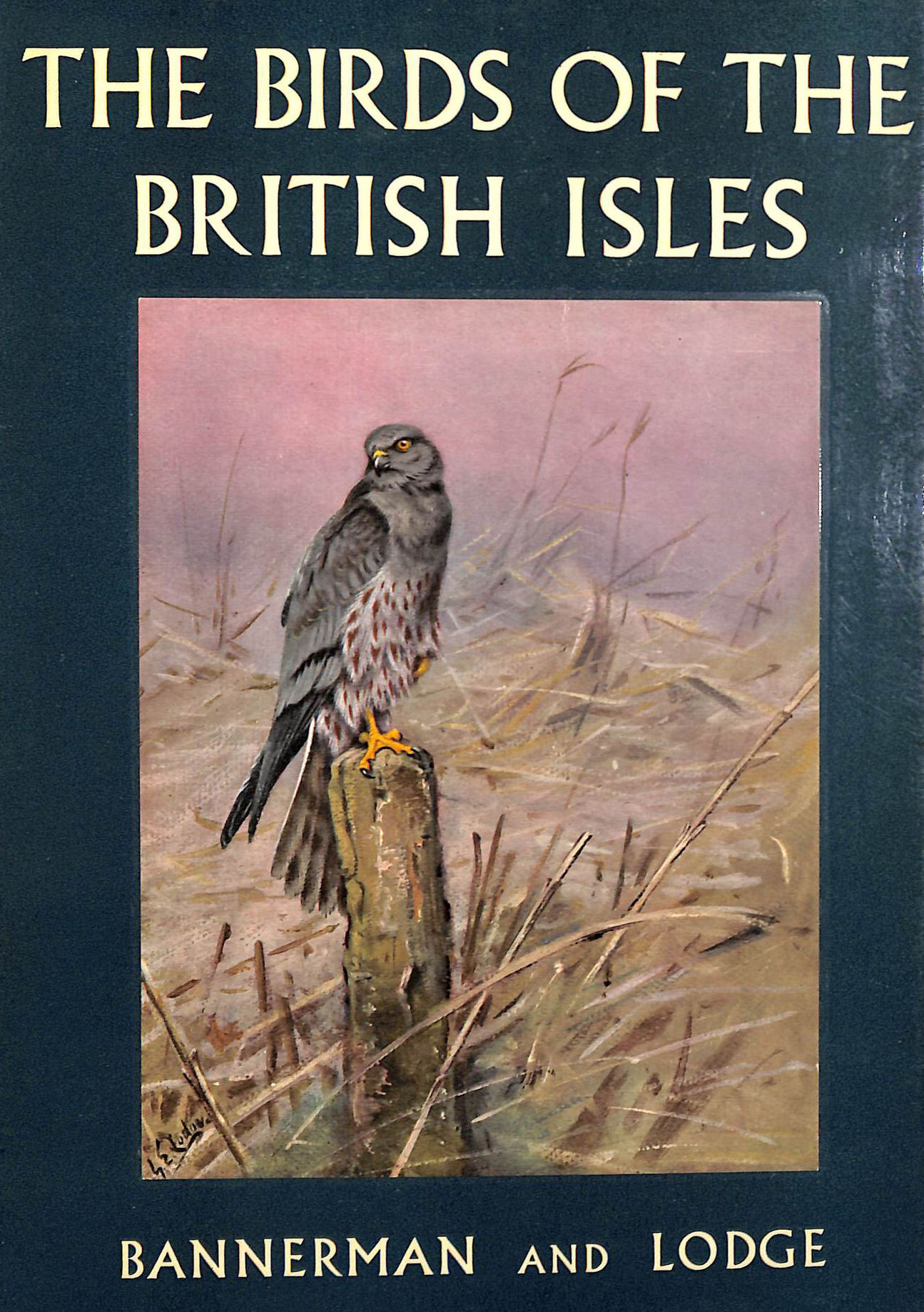 The Birds of the British Isles: Volume V (5)