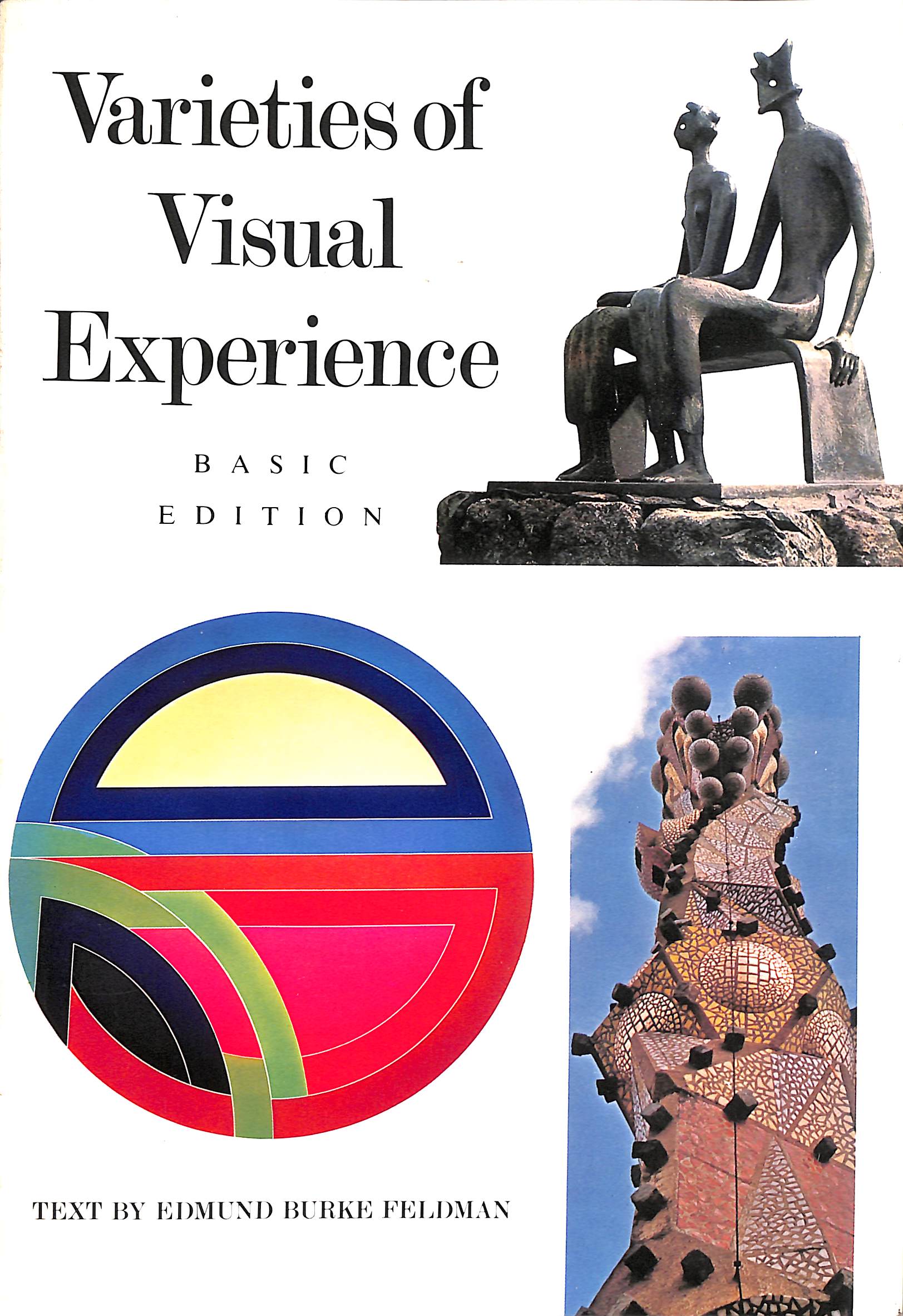 Varieties of Visual Experience (Basic Edition)