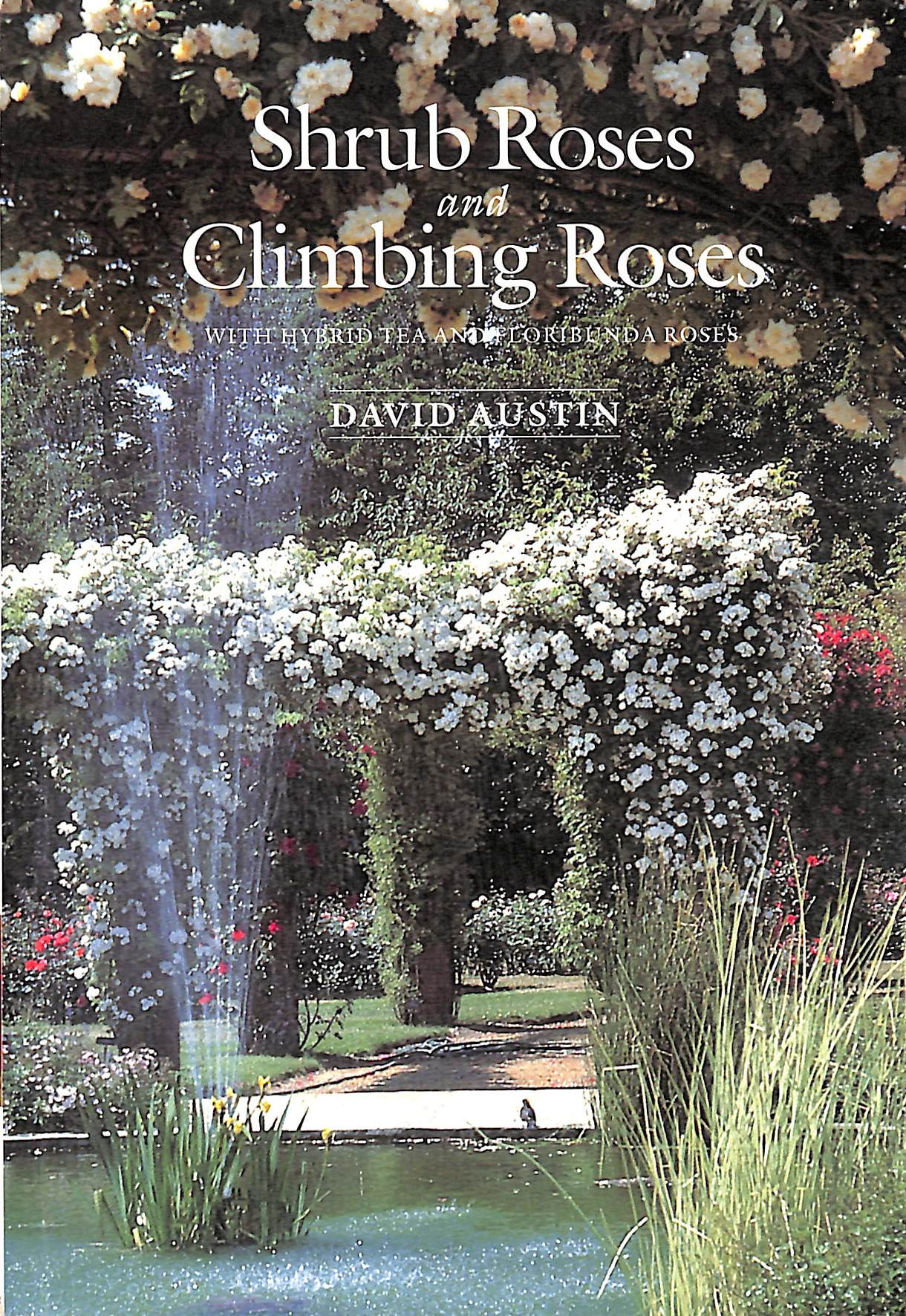 Shrub Roses and Climbing Roses: With Hybrid Tea and Floribunda Roses