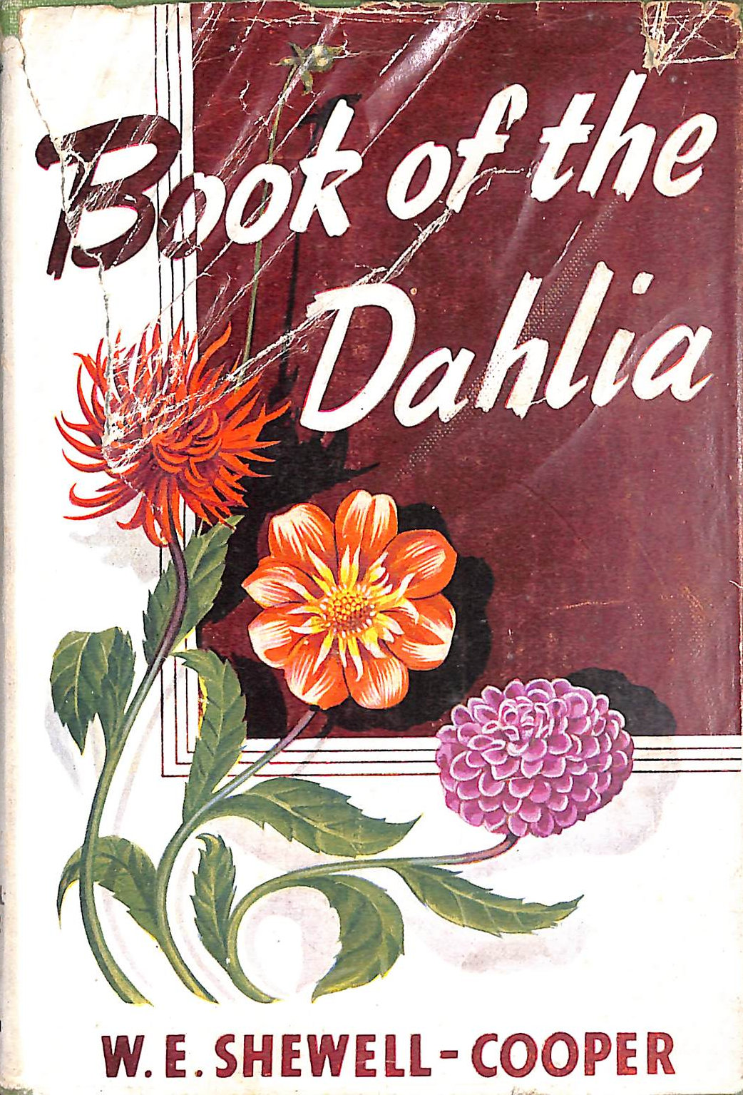 The Book of the Dahlia