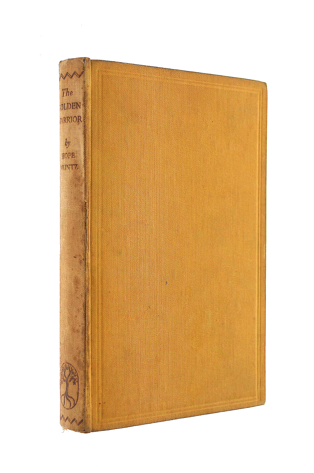 The Golden Warrior: The Story of Harold and William