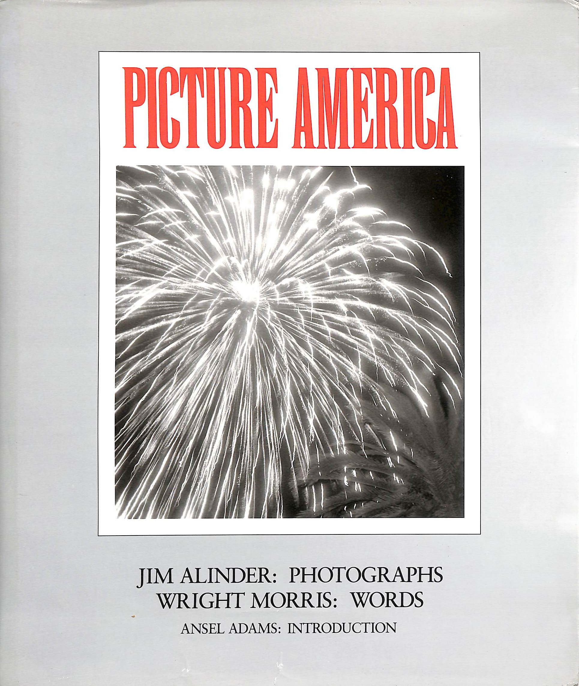 Picture America