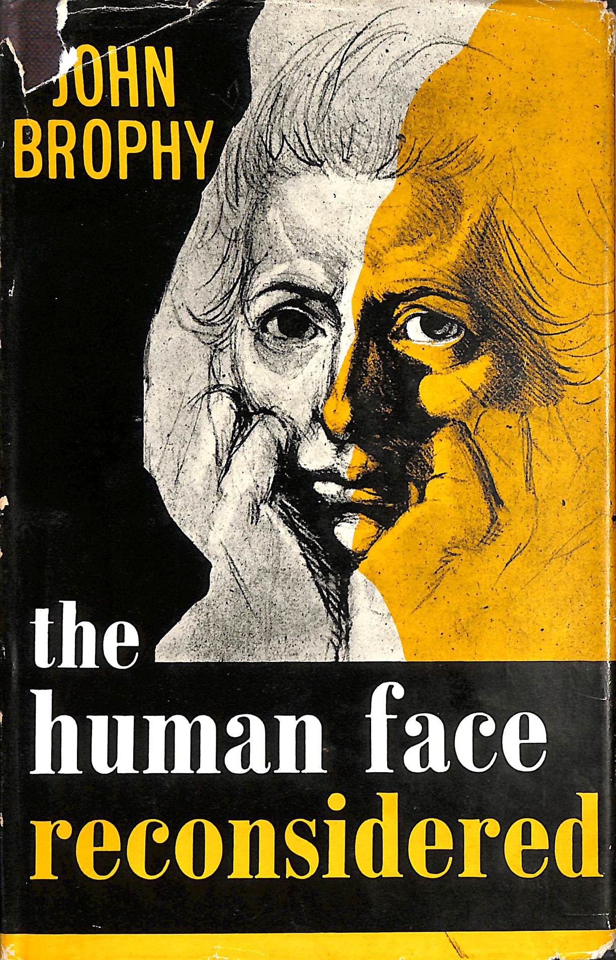 The Human Face Reconsidered