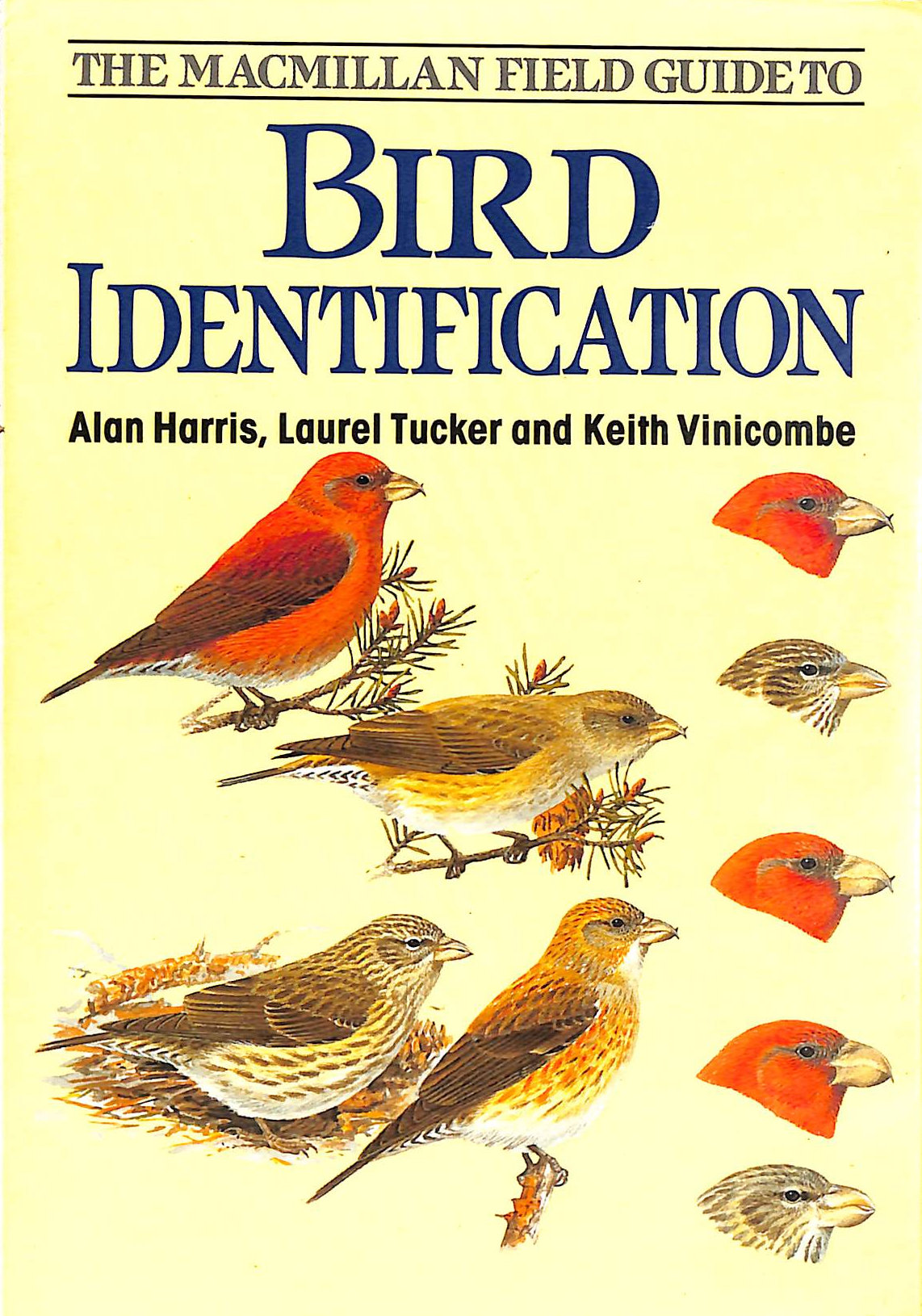The Macmillan Field Guide To Bird Identification