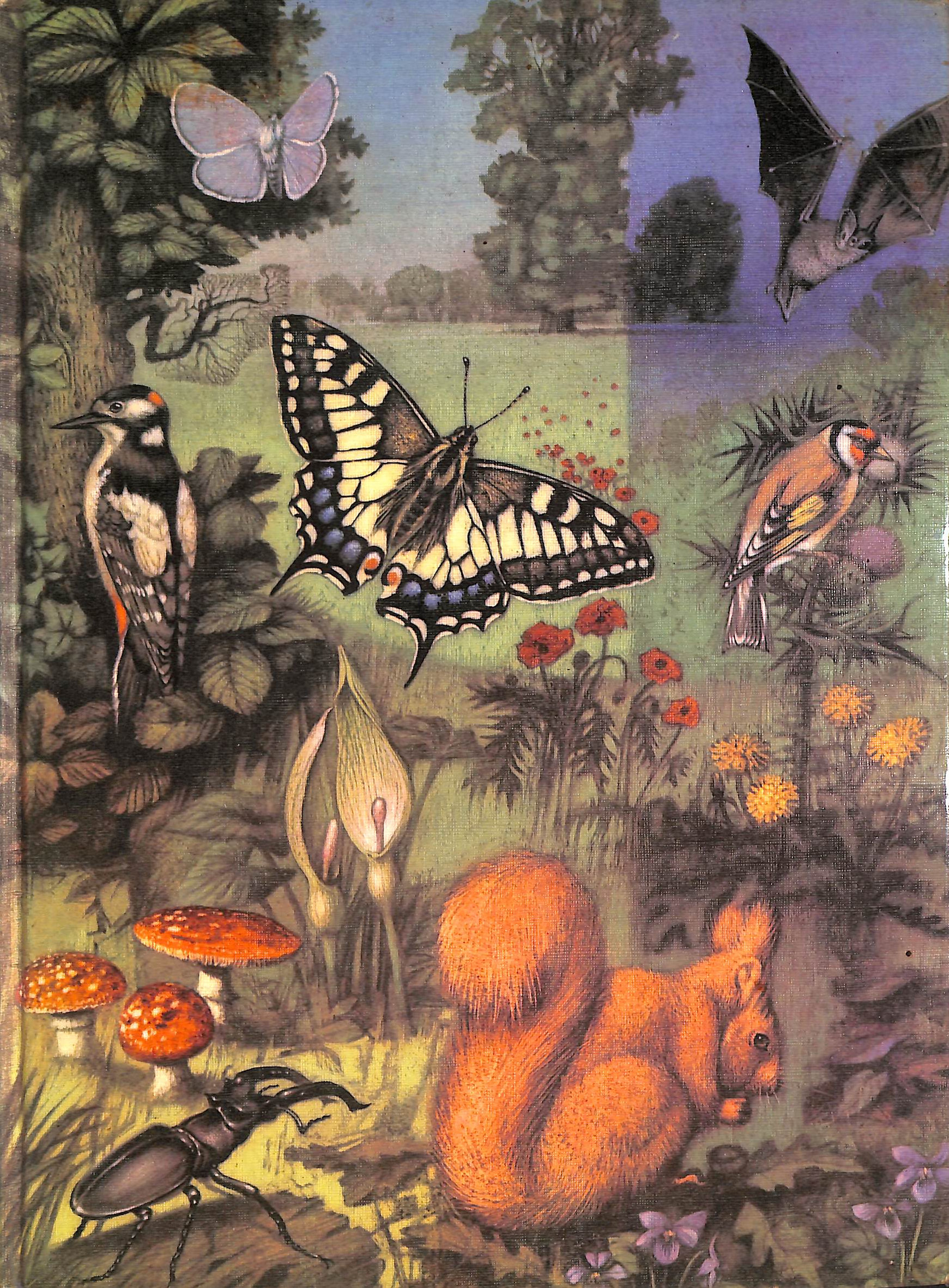 The Shell Nature Book