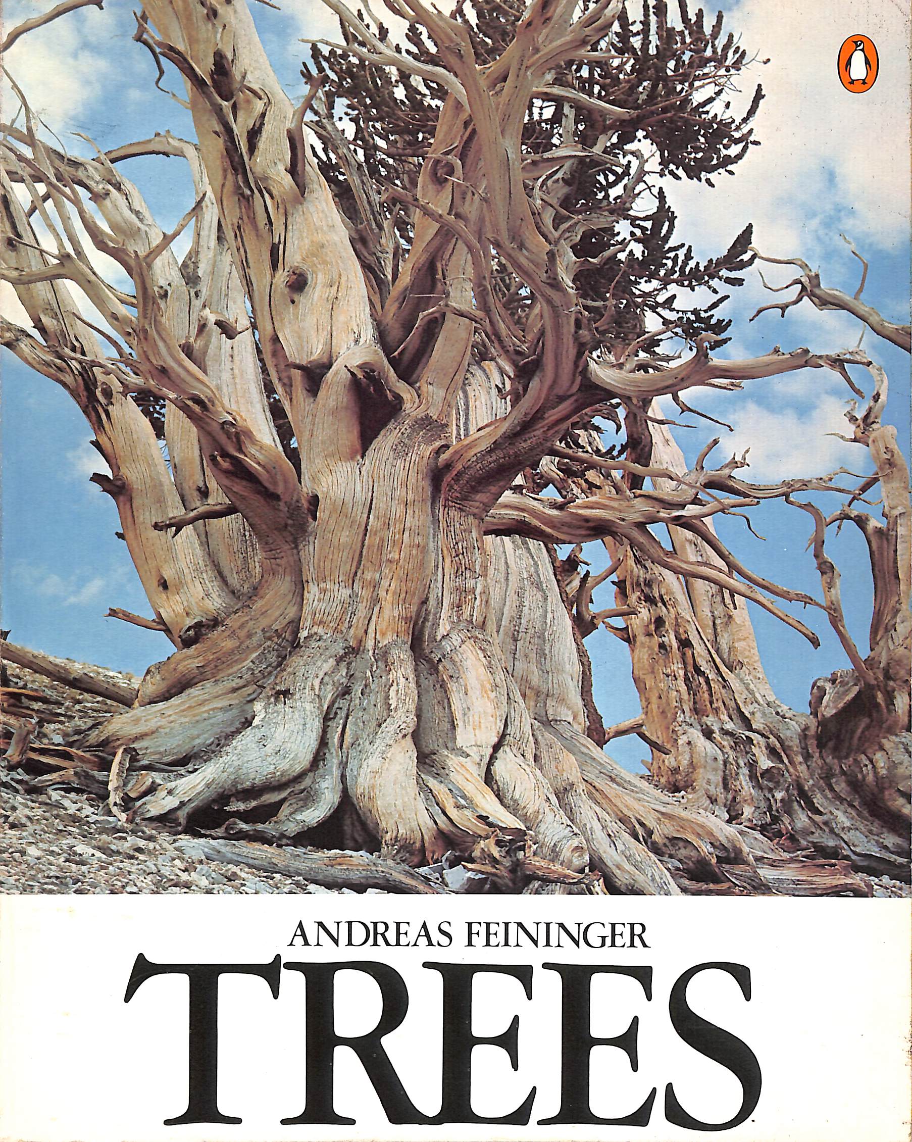 Trees