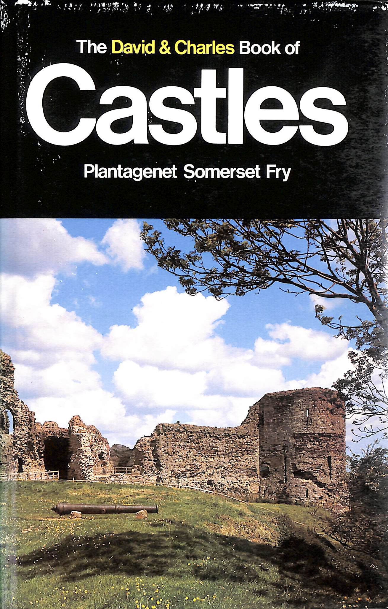 The David & Charles Book of Castles
