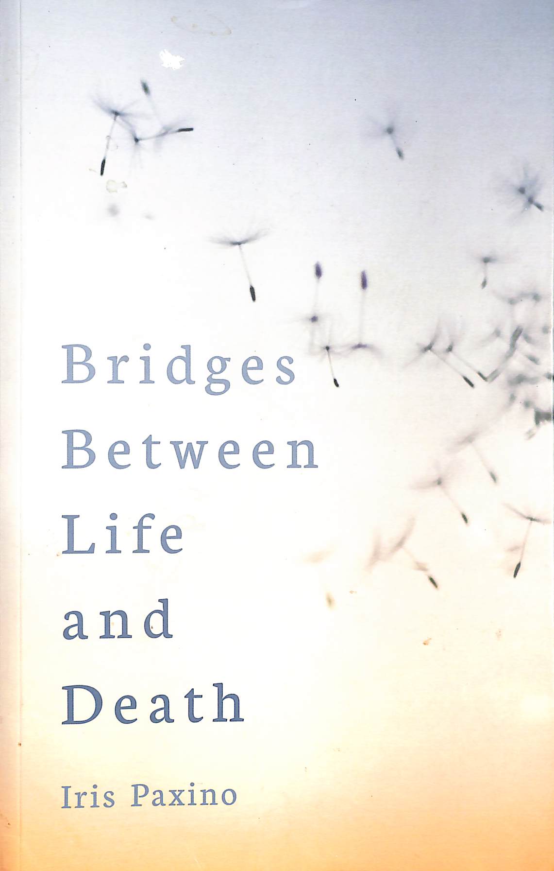 Bridges Between Life and Death