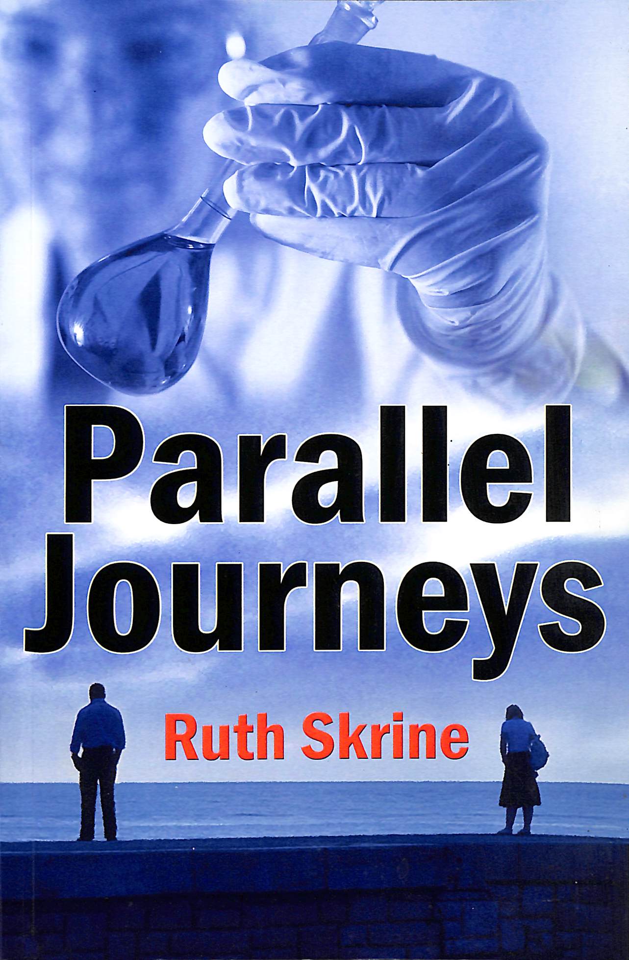 Image for Parallel Journeys Parallel Journeys